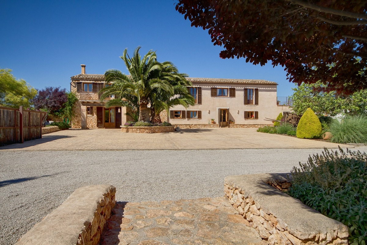 The exterior of the property showcases a spacious courtyard with a stone pathway leading to a large two-story building. Surrounding greenery includes palm trees and manicured shrubs, complemented by a clear blue sky.