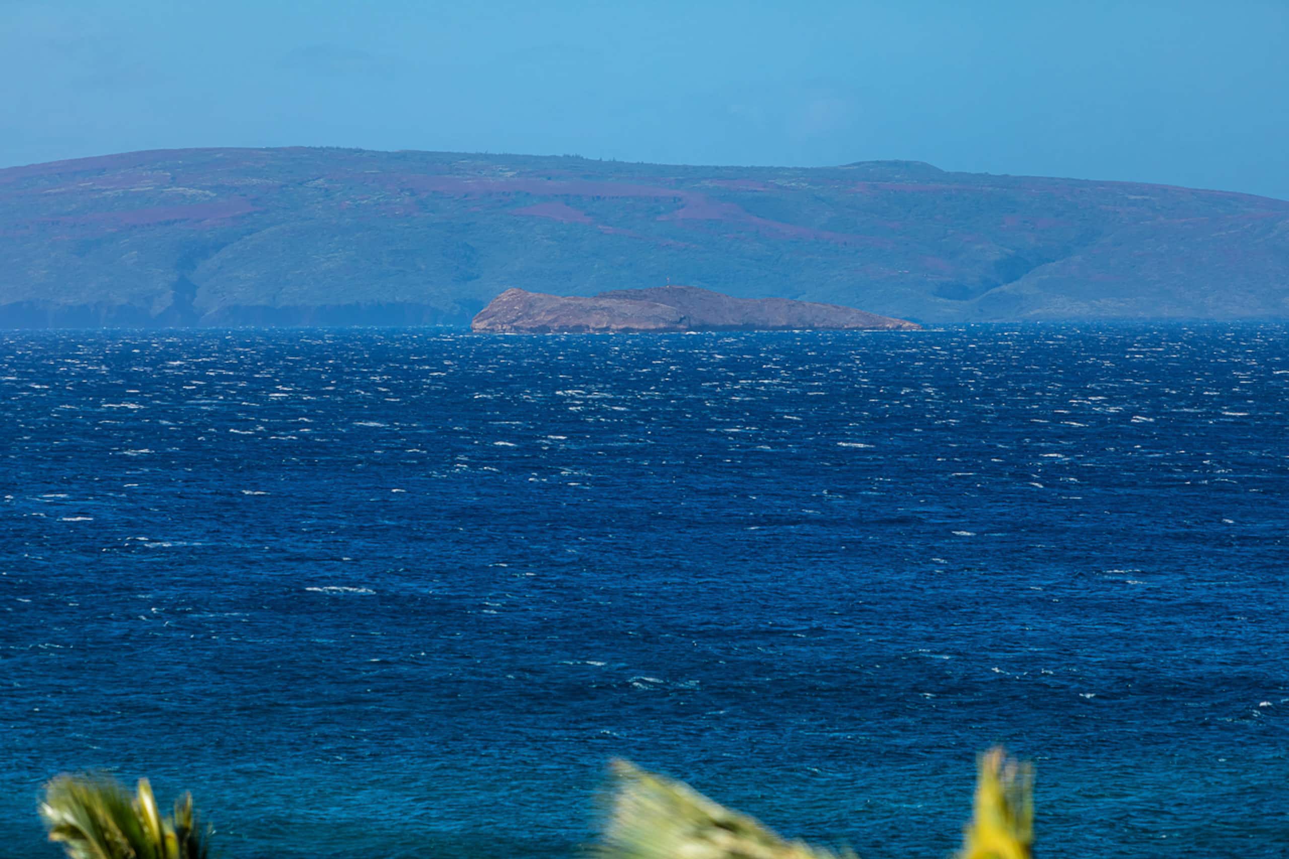 Condo in Kihei · ★5.0 · 2 bedrooms · 3 beds · 2 baths - Image 54