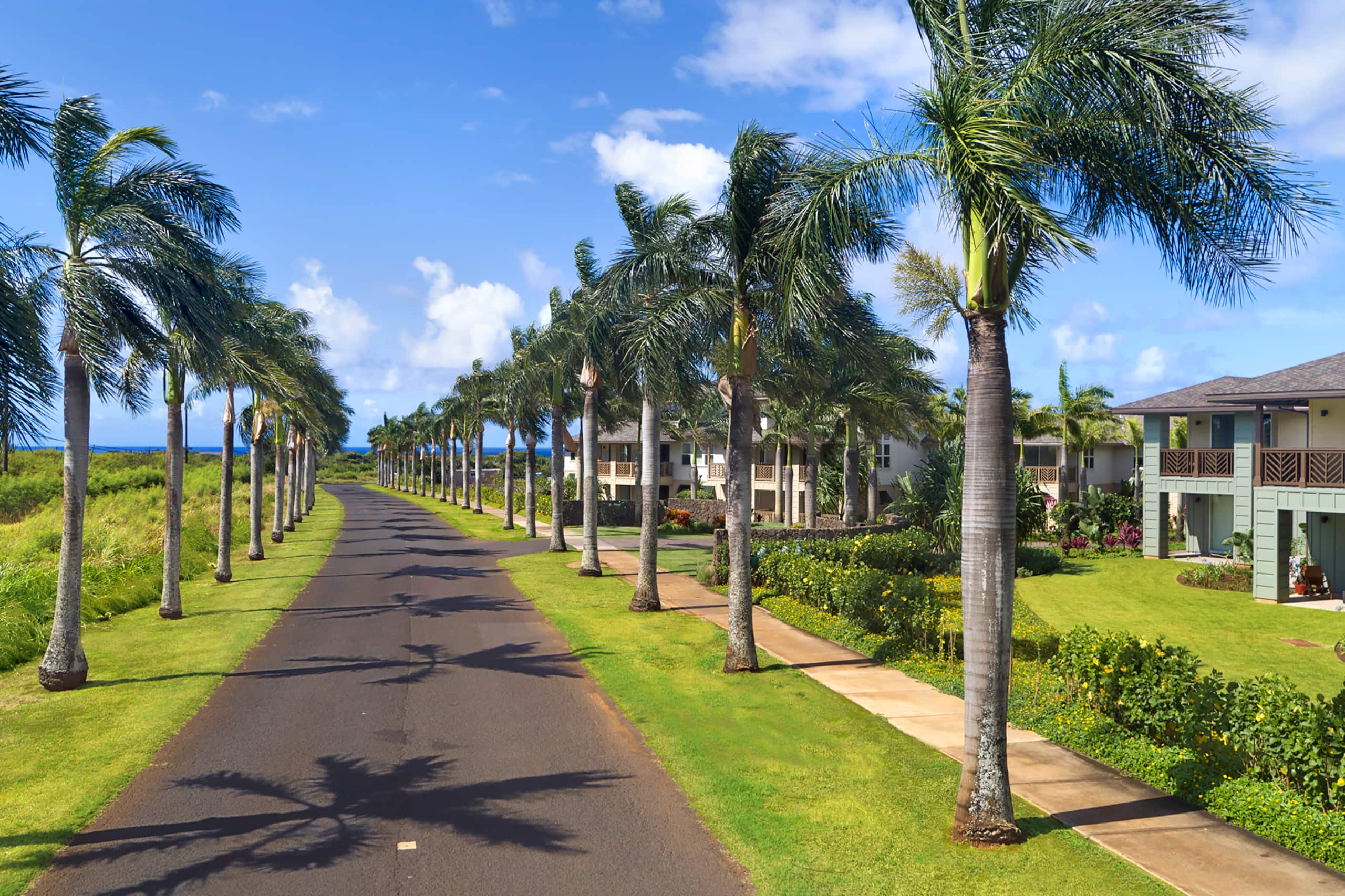 Townhouse in Koloa · ★4.98 · 3 bedrooms · 5 beds · 3 shared baths - Image 13