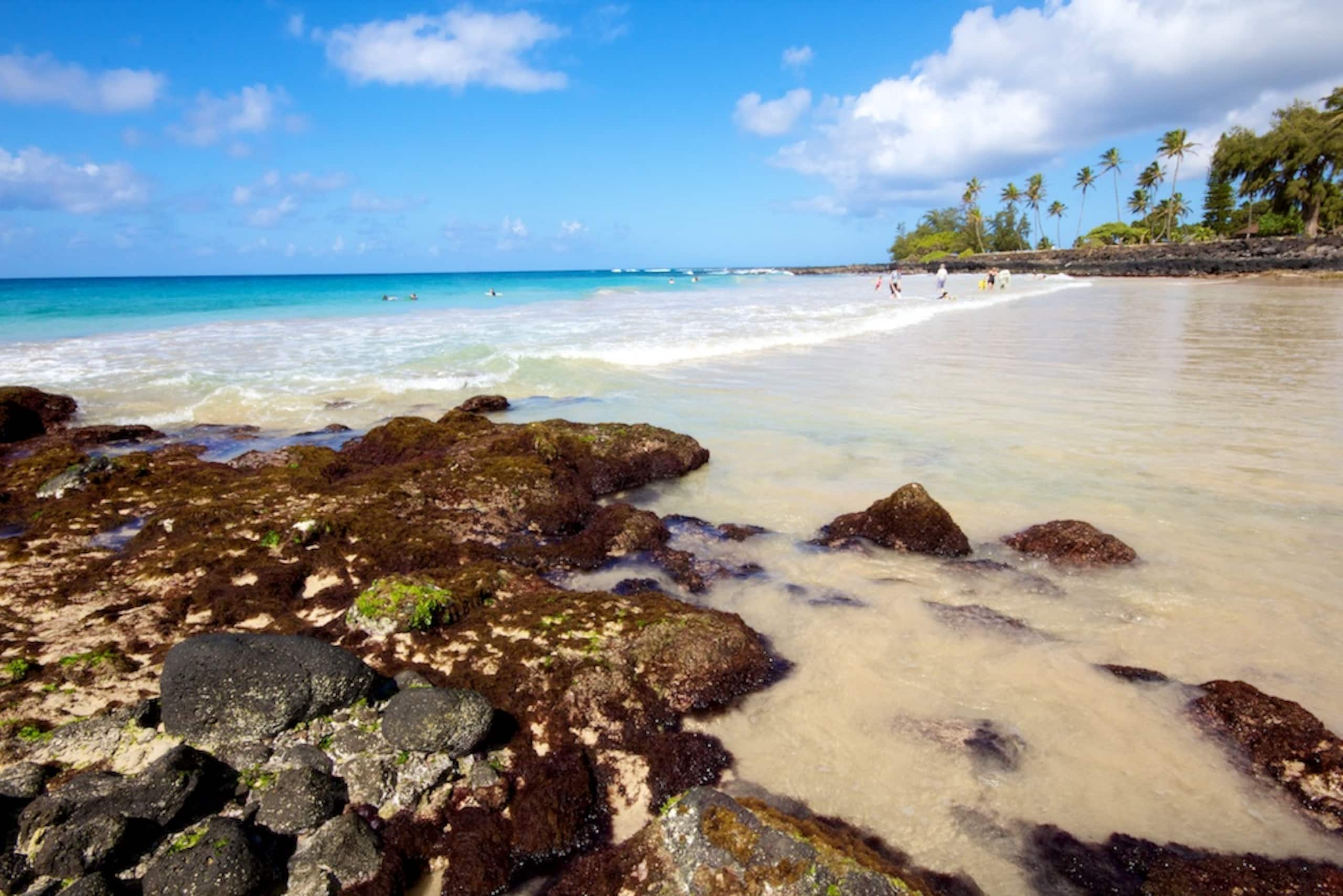 Top Floor Ocean View - New A/C Steps to Beach - Photo 51