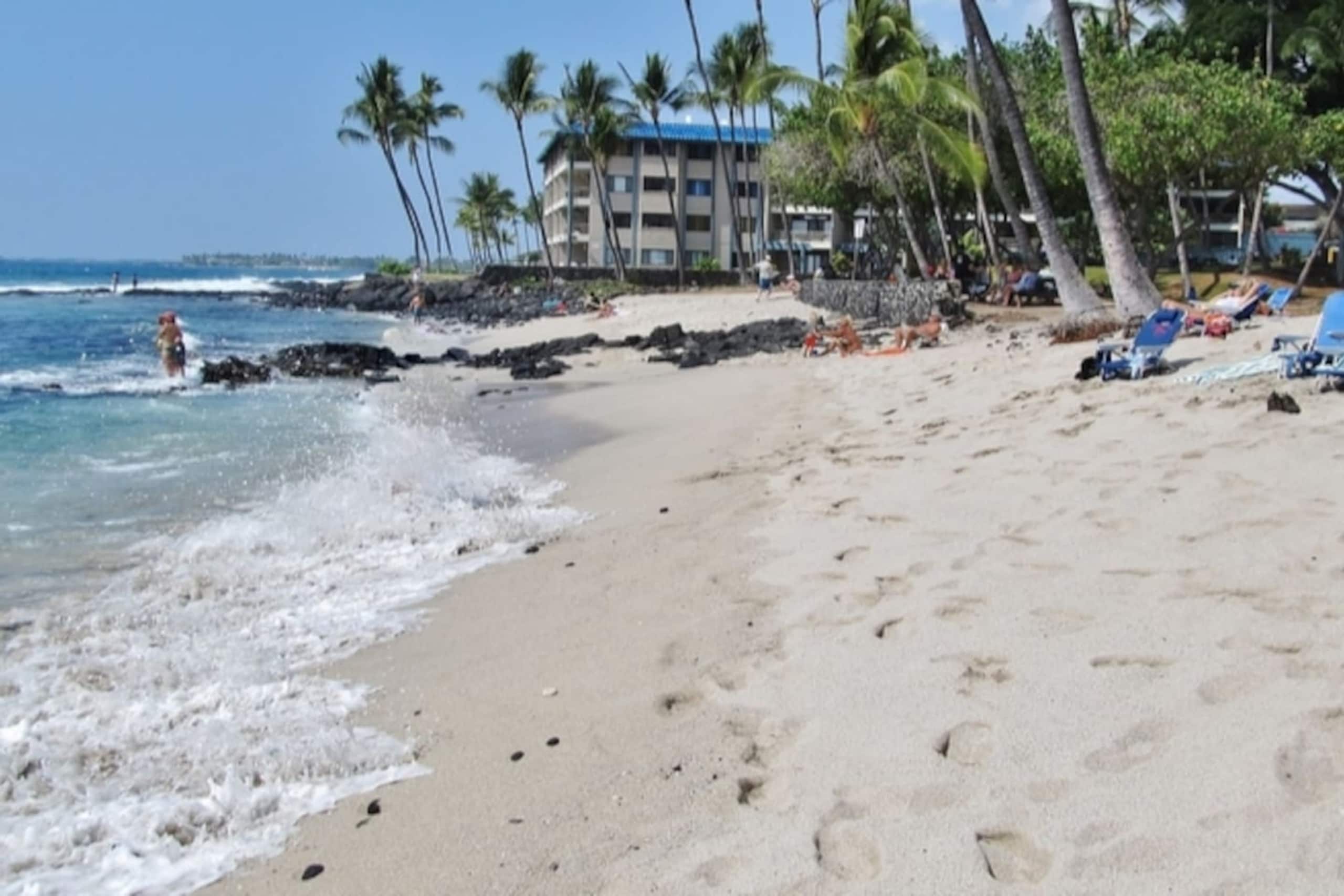 Condo in Kailua-Kona · ★4.95 · 1 bedroom · 2 beds · 1 bath - Image 33