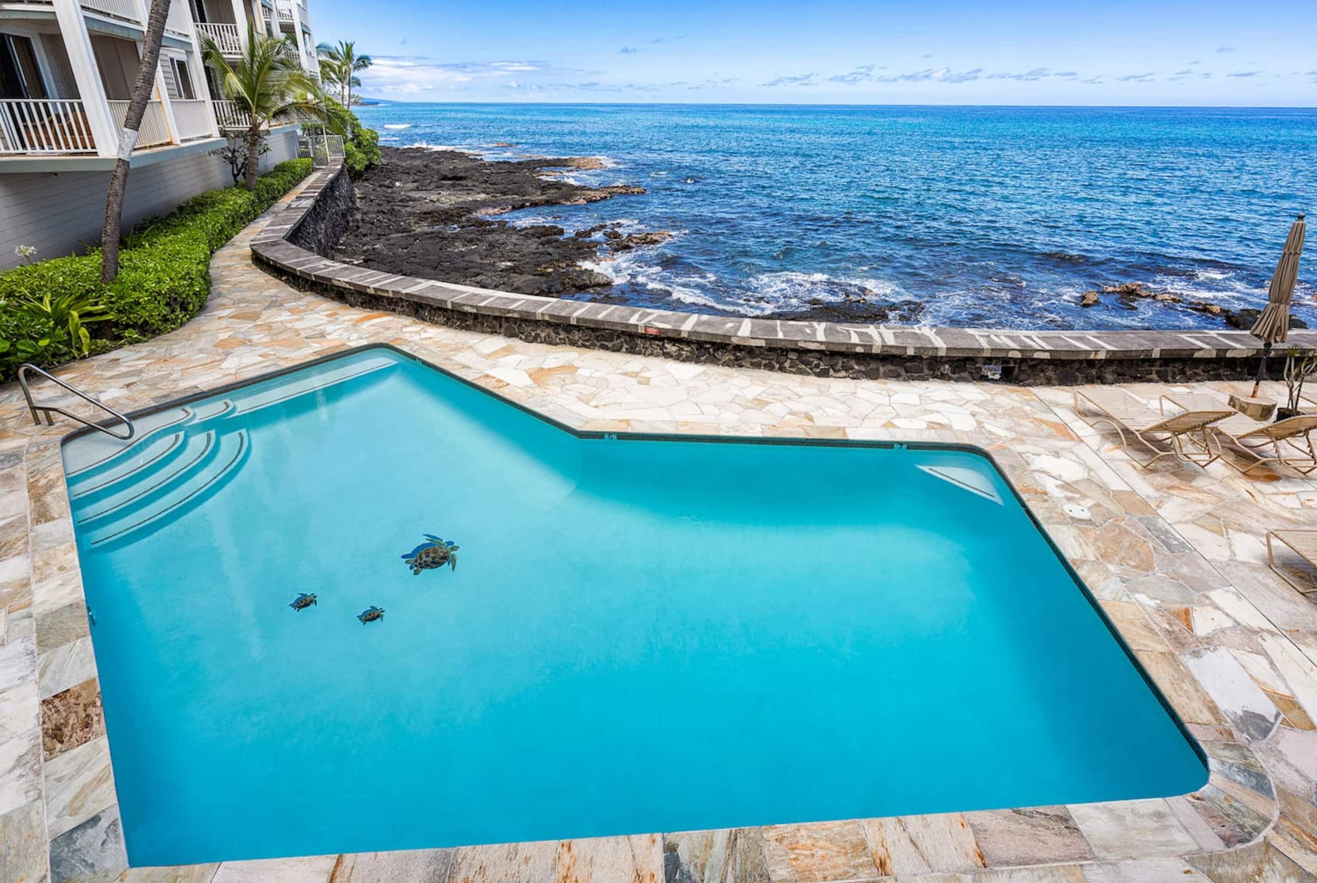 Condo in Kailua-Kona · ★4.95 · 1 bedroom · 2 beds · 1 bath - Image 25