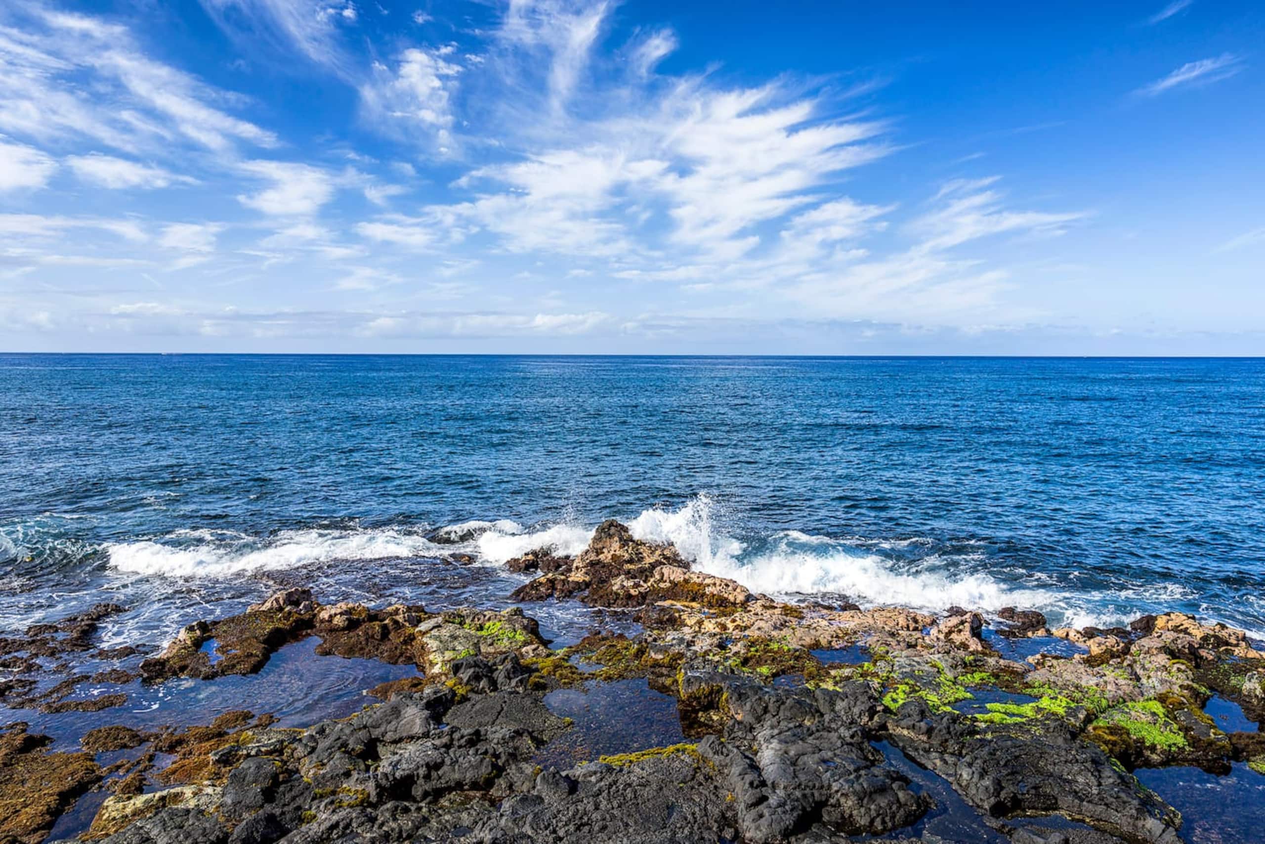 Condo in Kailua-Kona · ★4.95 · 1 bedroom · 2 beds · 1 bath - Image 31