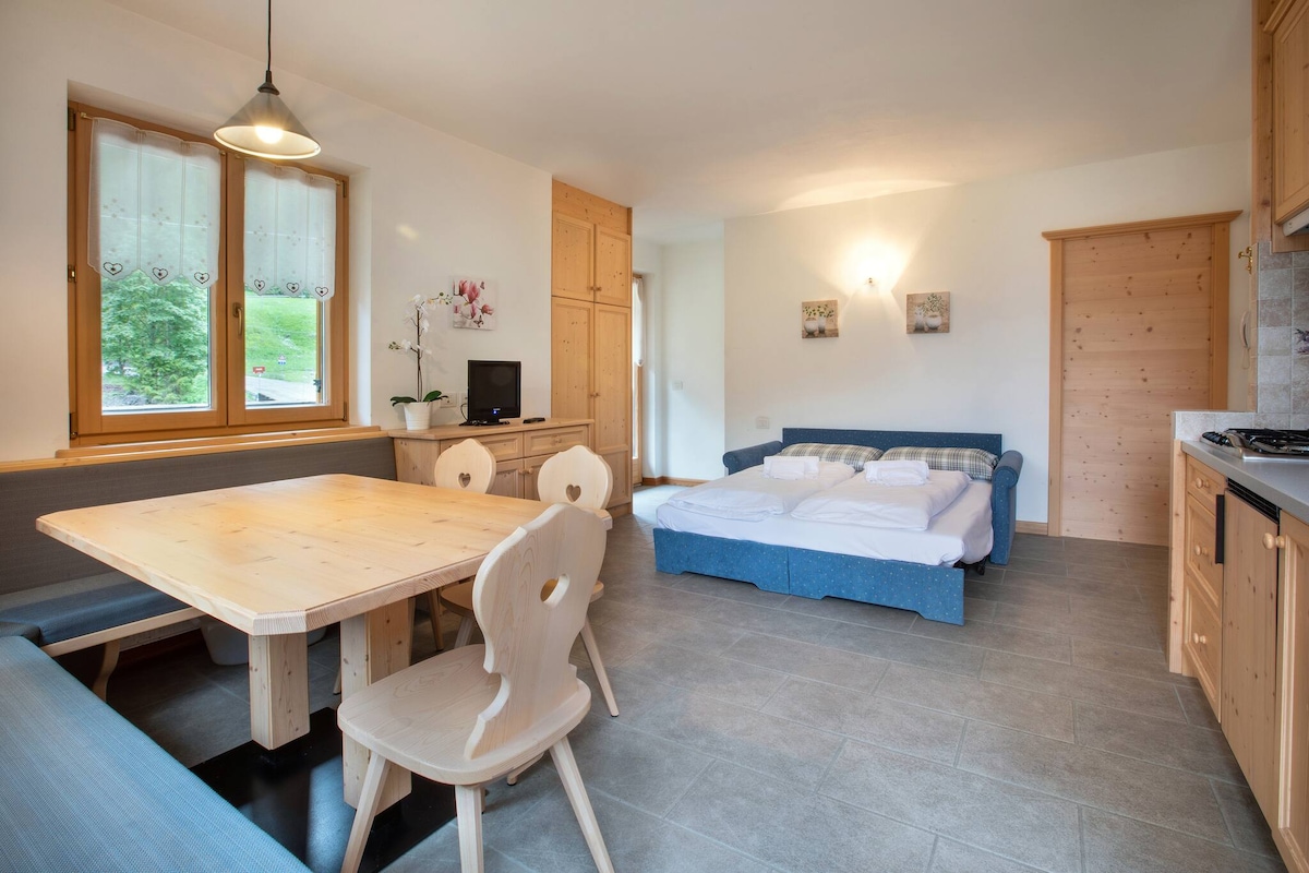 Successful Airbnb property: Ciesa al Drago 2 in Rocca Pietore