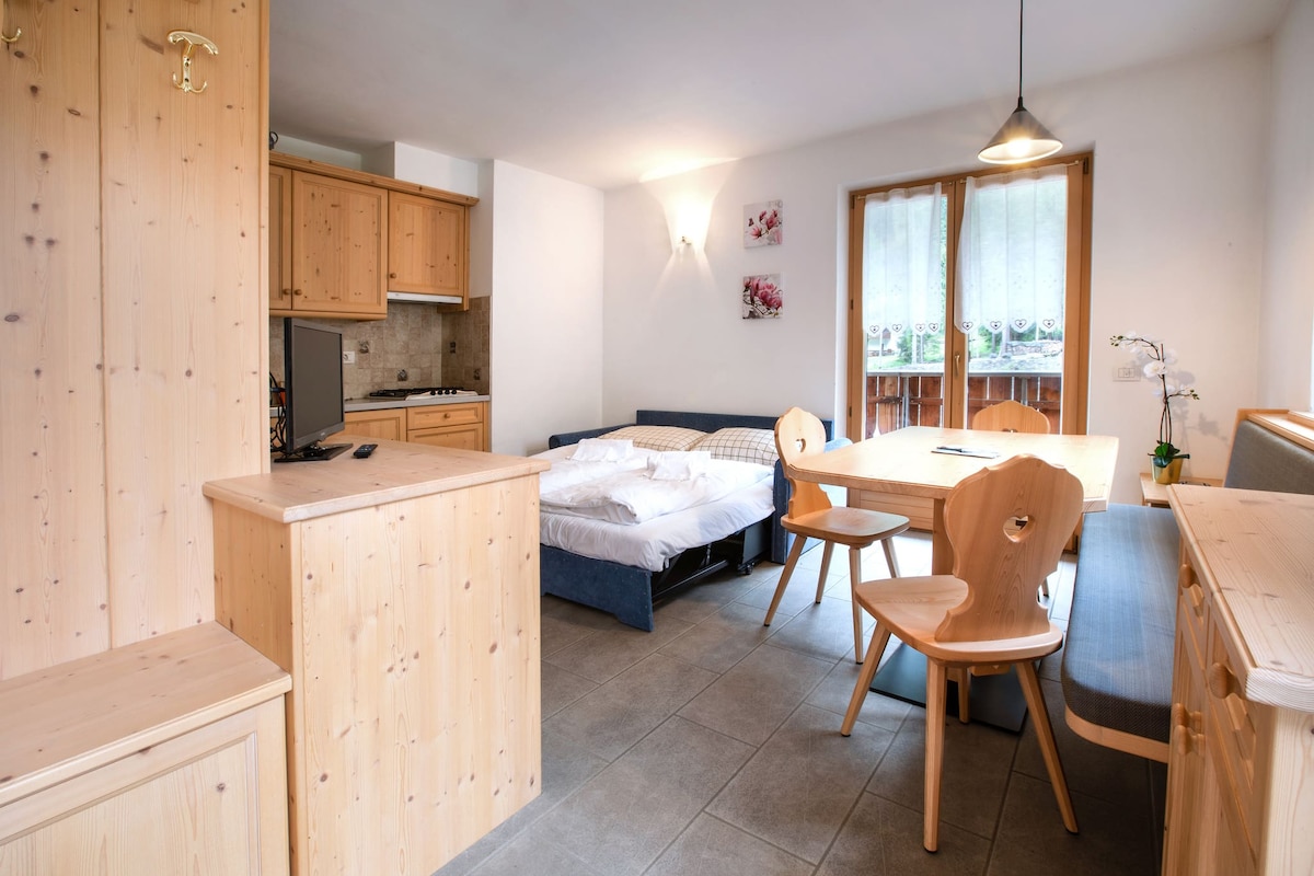 Successful Airbnb property: Ciesa al Drago 1 in Rocca Pietore