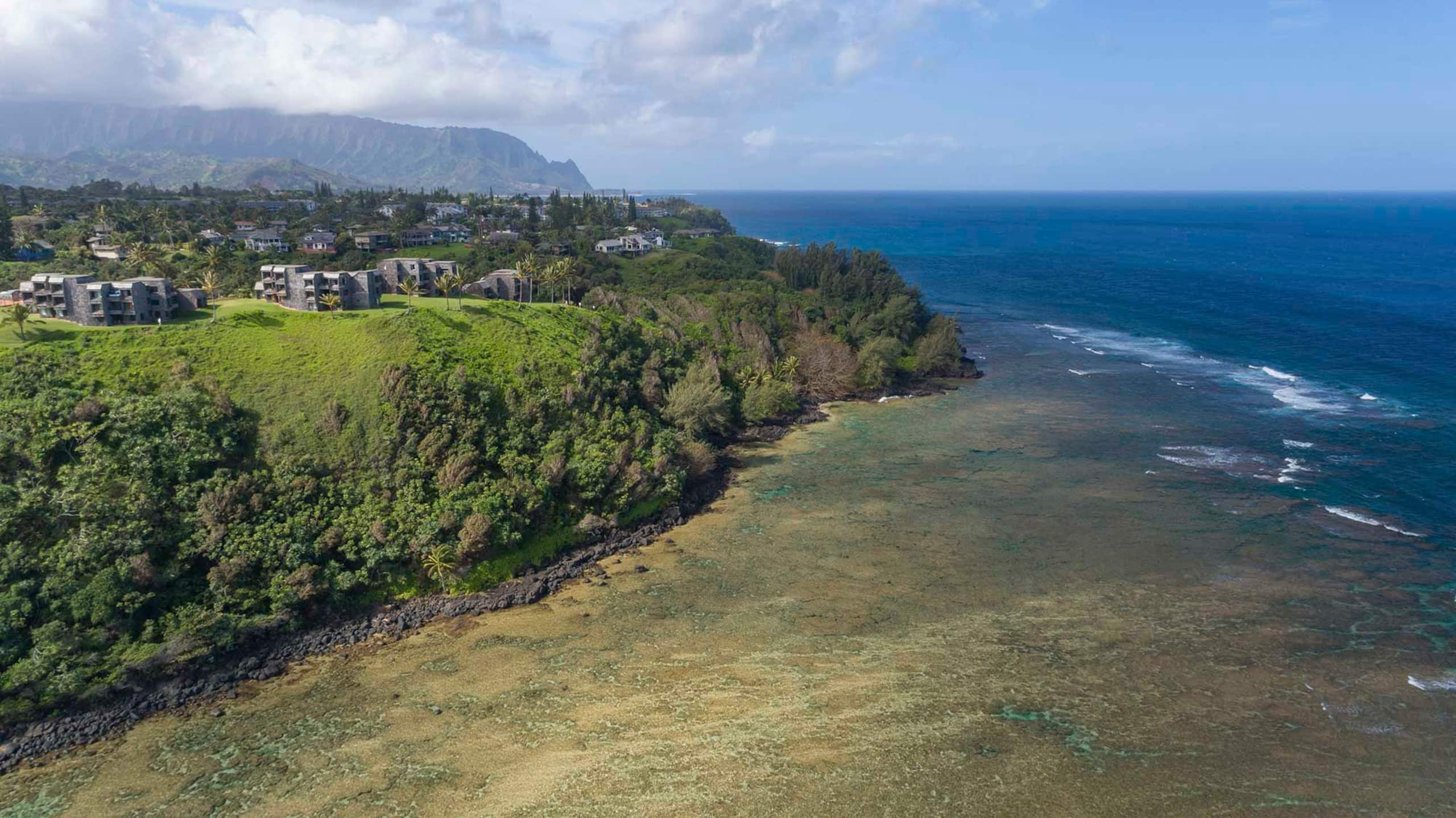 Sealodge D5 By Parrish Kauai - Great Pville - Photo 10