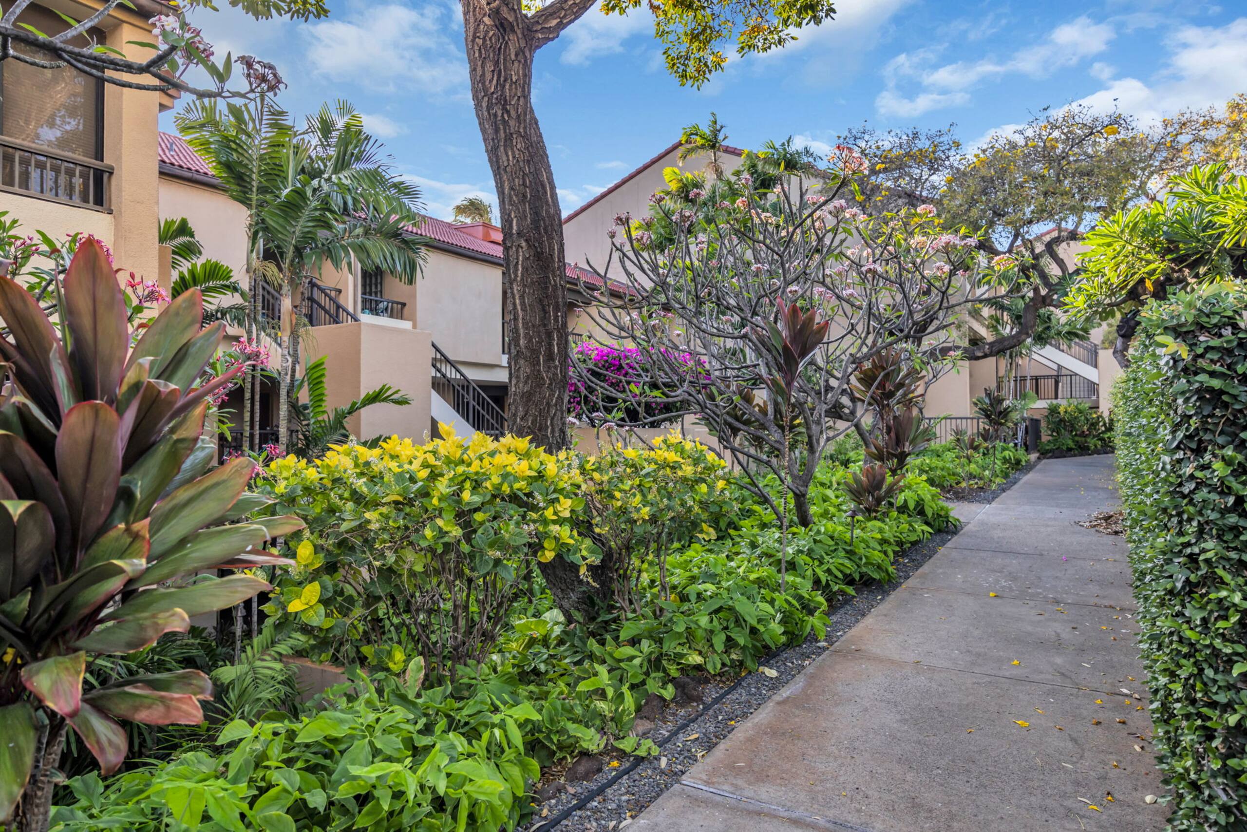 Condo in Lahaina · ★5.0 · 2 bedrooms · 3 beds · 2 baths - Image 23