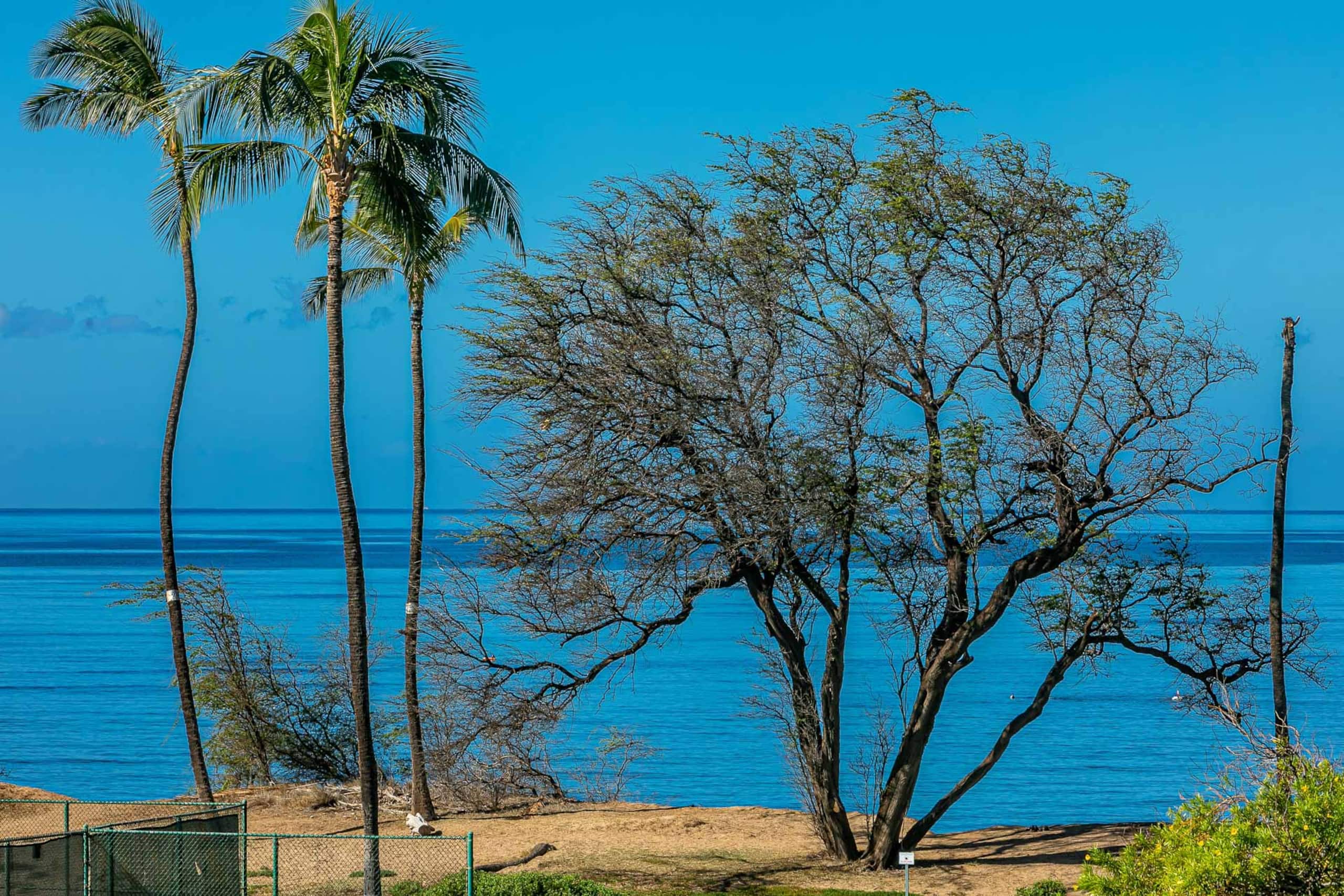 Condo in Kihei · ★4.77 · 2 bedrooms · 4 beds · 2 shared baths - Image 3