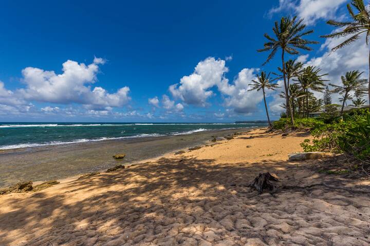 Hale Koaniani gallery image 4