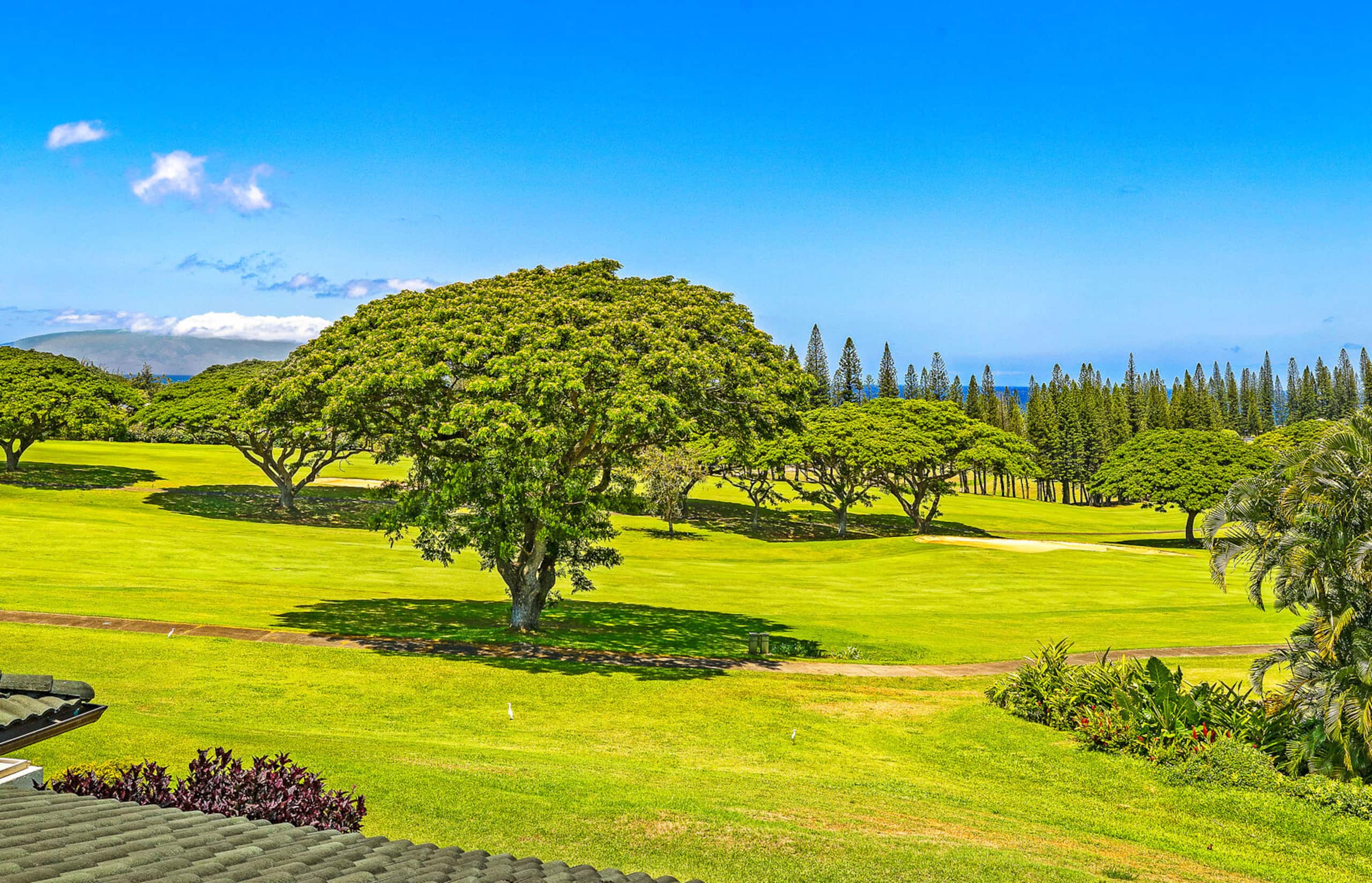 Condo in Lahaina · ★5.0 · 1 bedroom · 2 beds · 2 baths - Image 28