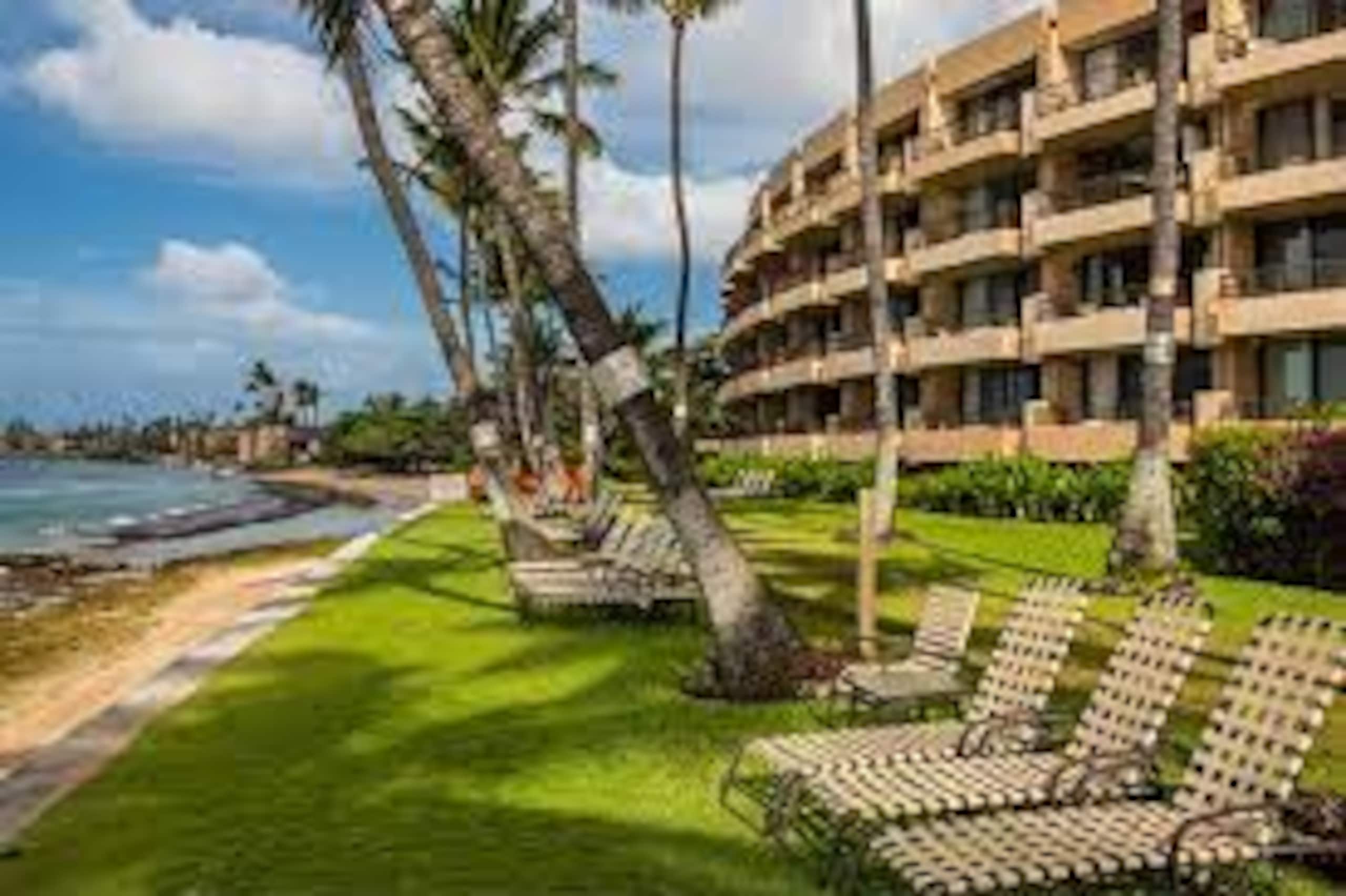 Stunning Sunsets and Direct Oceanviews at Paki Mau - Image 21