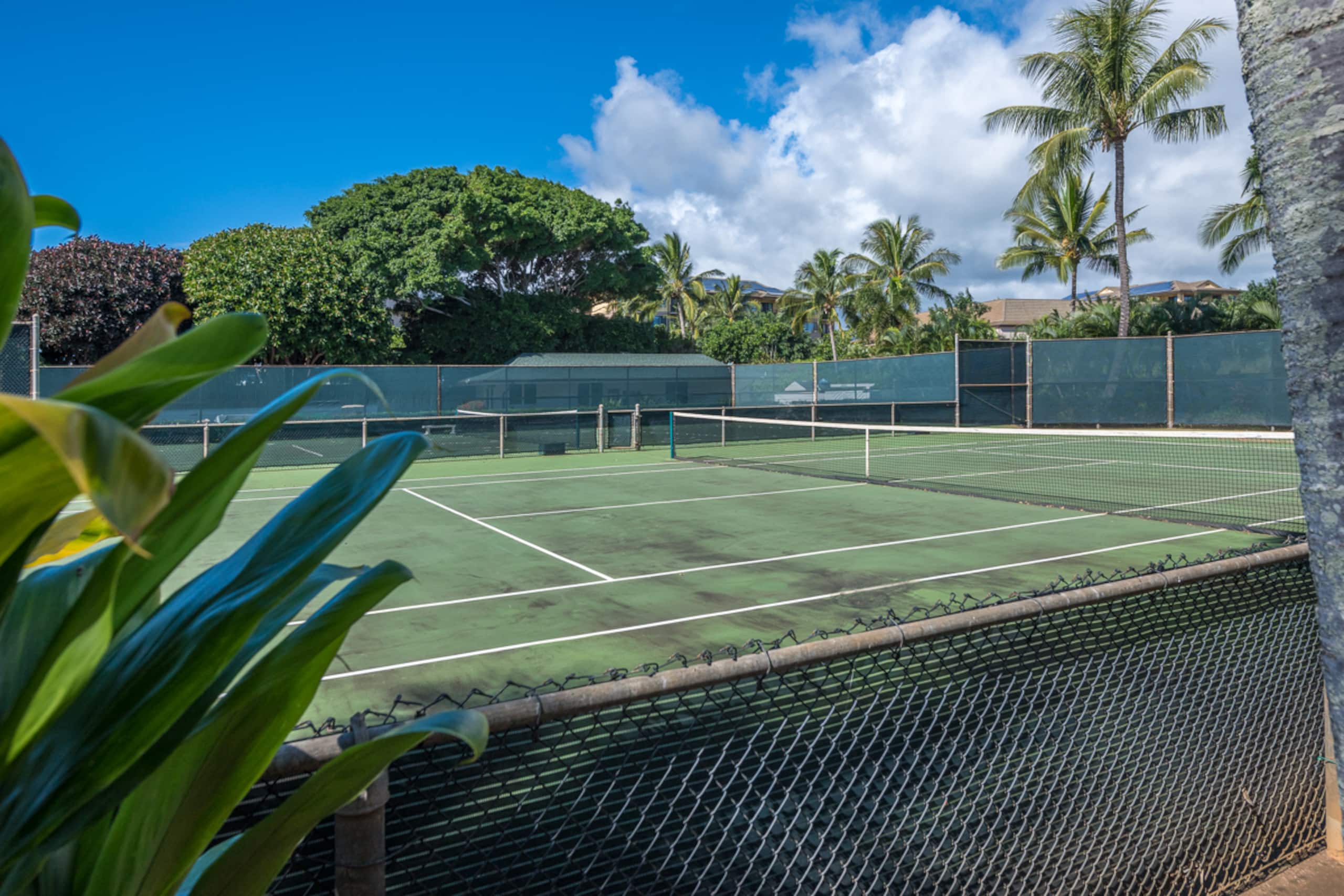 Townhouse in Koloa · ★4.94 · 2 bedrooms · 4 beds · 3 baths - Image 38