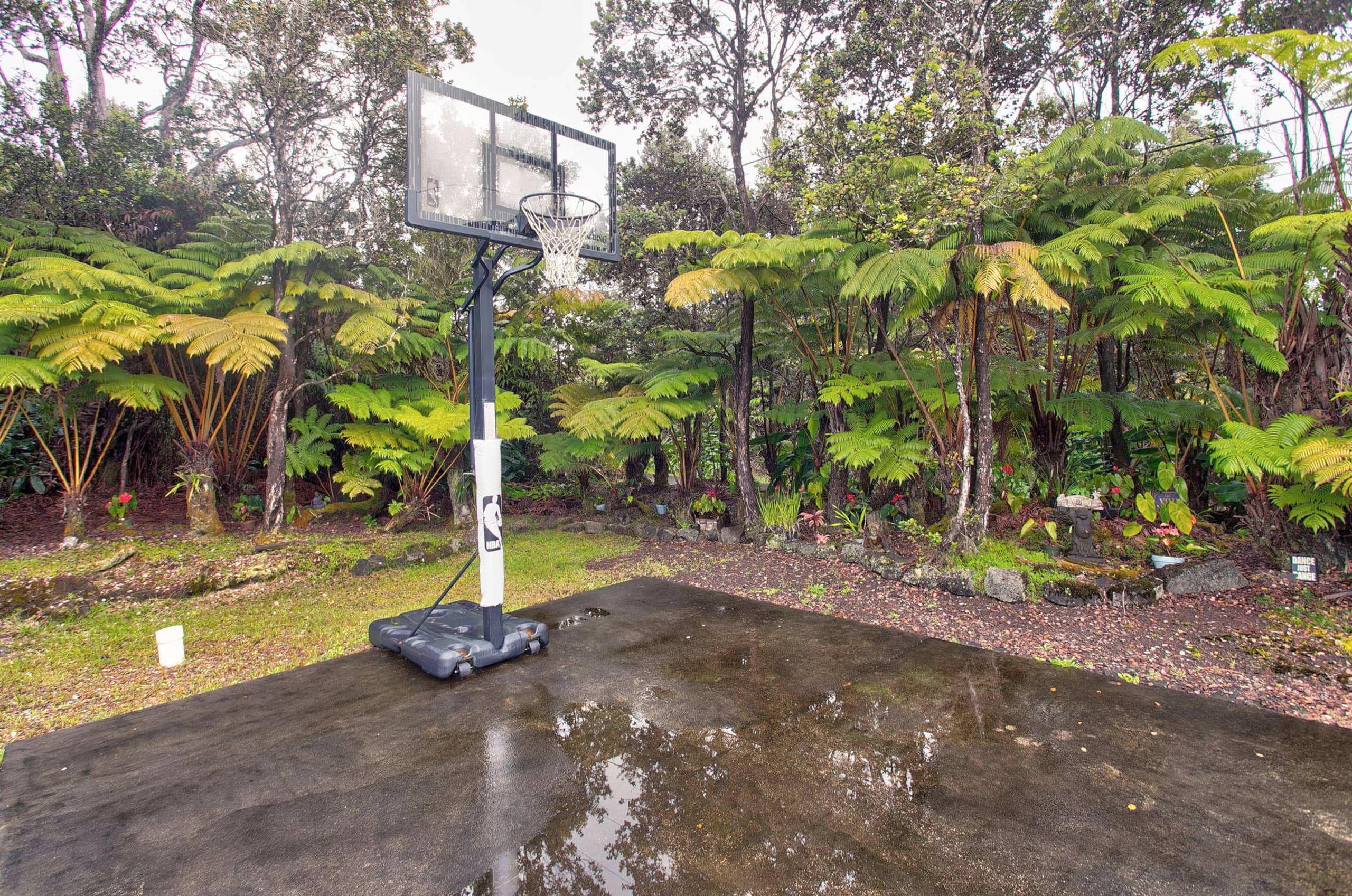 Home in Volcano · ★4.81 · 1 bedroom · 1 bed · 1 bath - Image 18