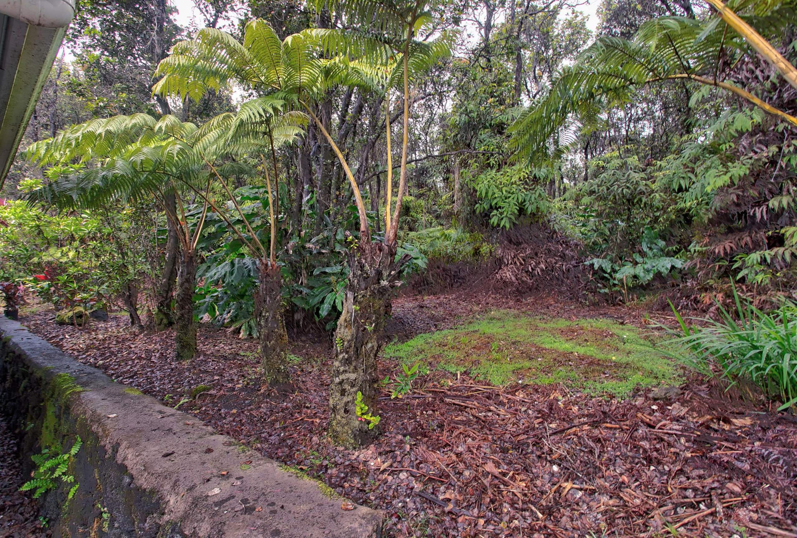 Home in Volcano · ★4.81 · 1 bedroom · 1 bed · 1 bath - Image 17
