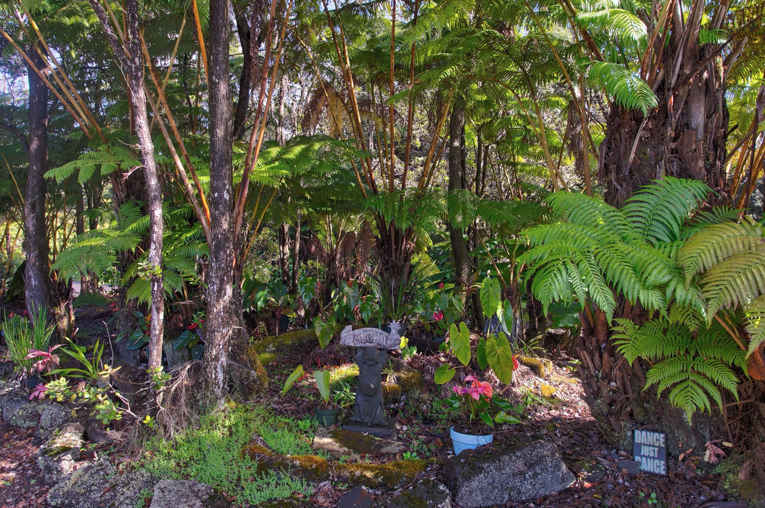 Home in Volcano · ★4.81 · 1 bedroom · 1 bed · 1 bath - Image 14