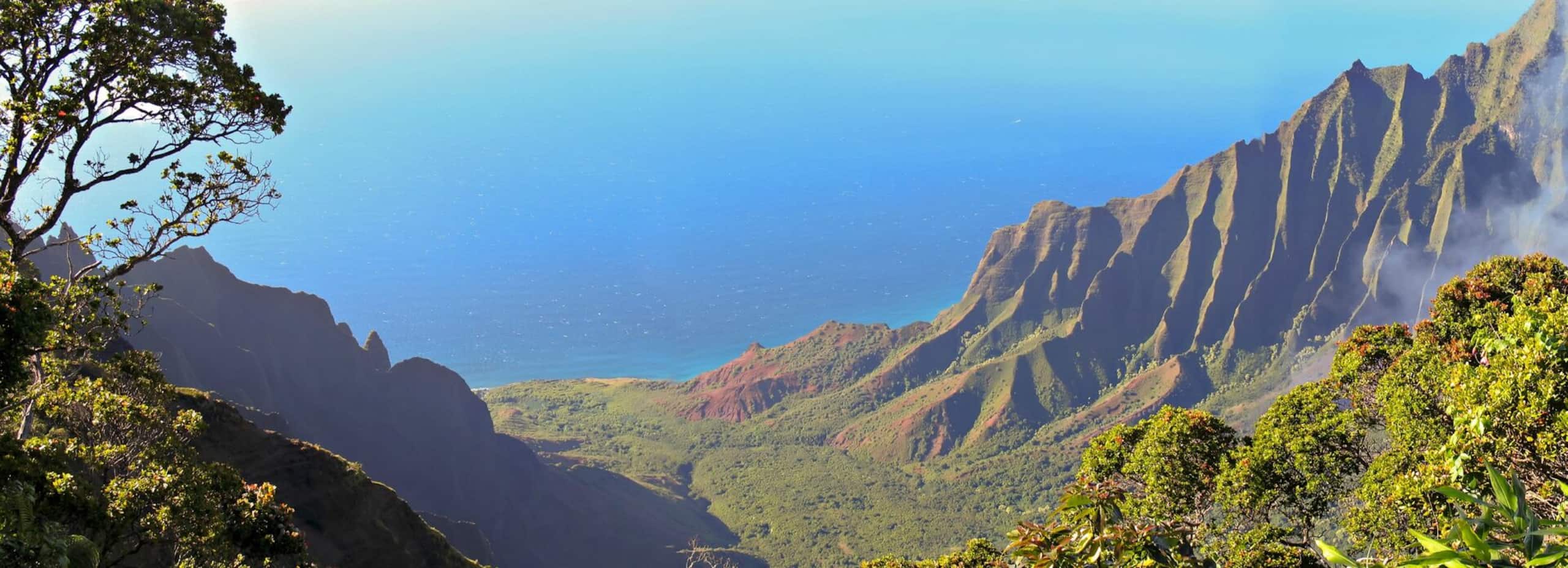 Home in Waimea · ★4.86 · 2 bedrooms · 2 beds · 1 bath - Image 30