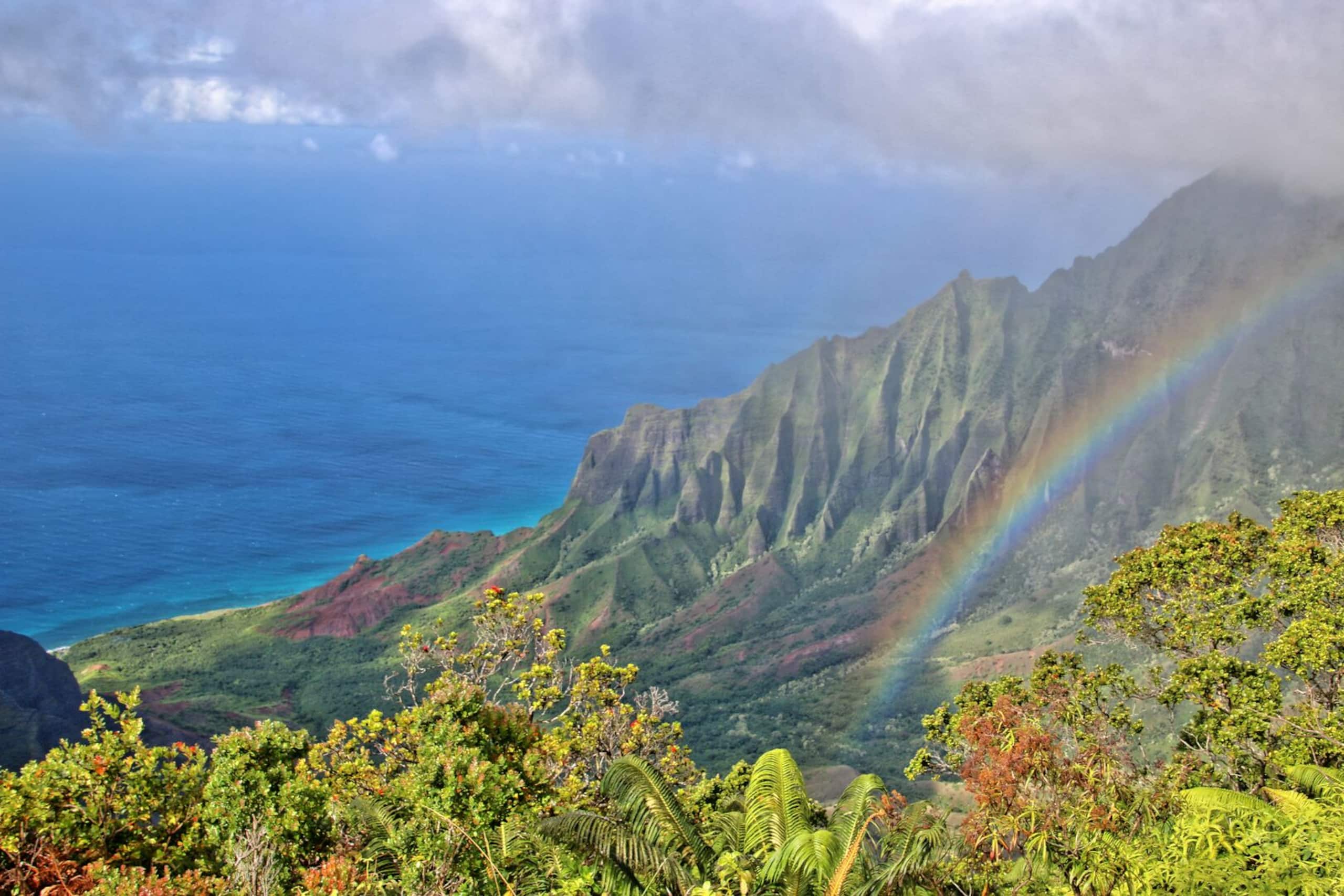 Home in Waimea · ★4.86 · 2 bedrooms · 2 beds · 1 bath - Image 28