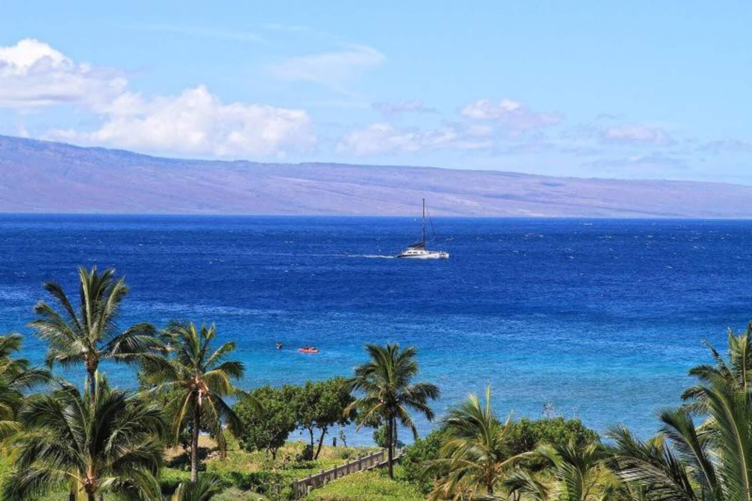 Condo in Lahaina · ★4.91 · 2 bedrooms · 3 beds · 2 baths - Image 42