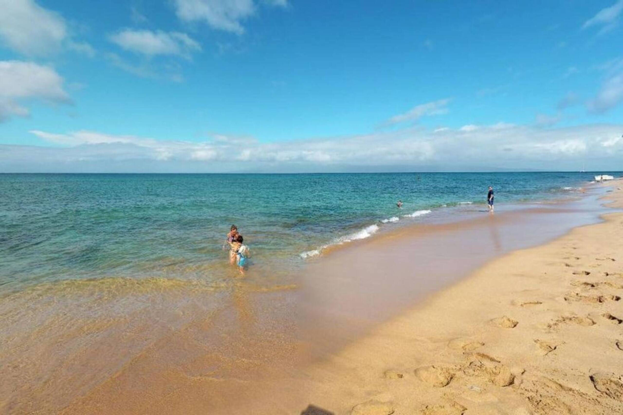 Condo in Lahaina · ★4.95 · 2 bedrooms · 3 beds · 2 baths - Image 45