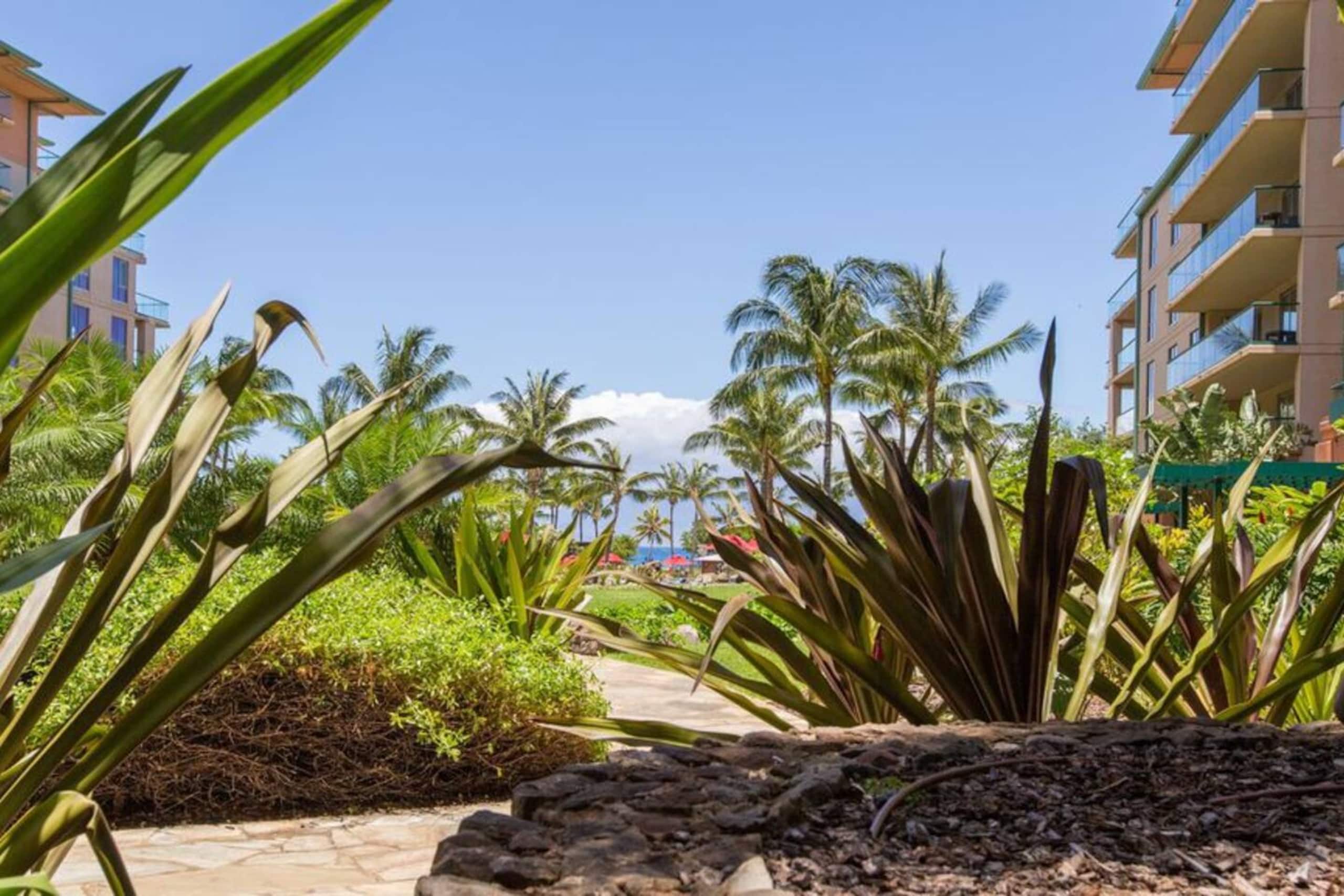 Condo in Lahaina · ★4.95 · 2 bedrooms · 3 beds · 2 baths - Image 49