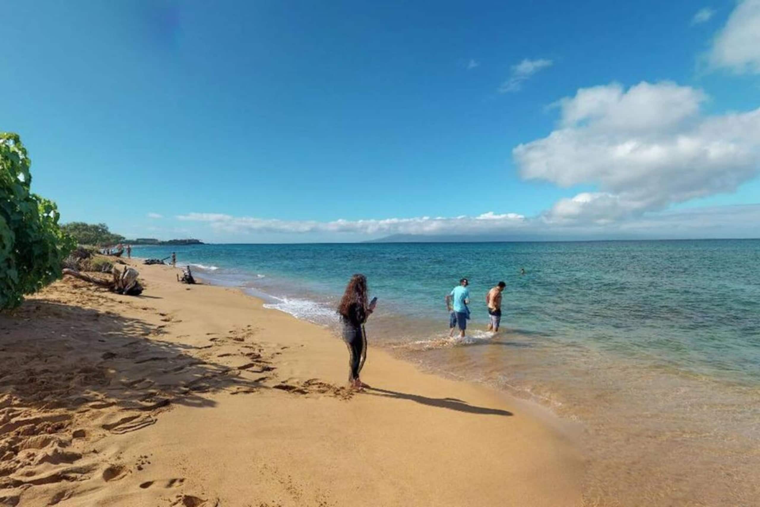 Condo in Lahaina · ★4.95 · 2 bedrooms · 3 beds · 2 baths - Image 47