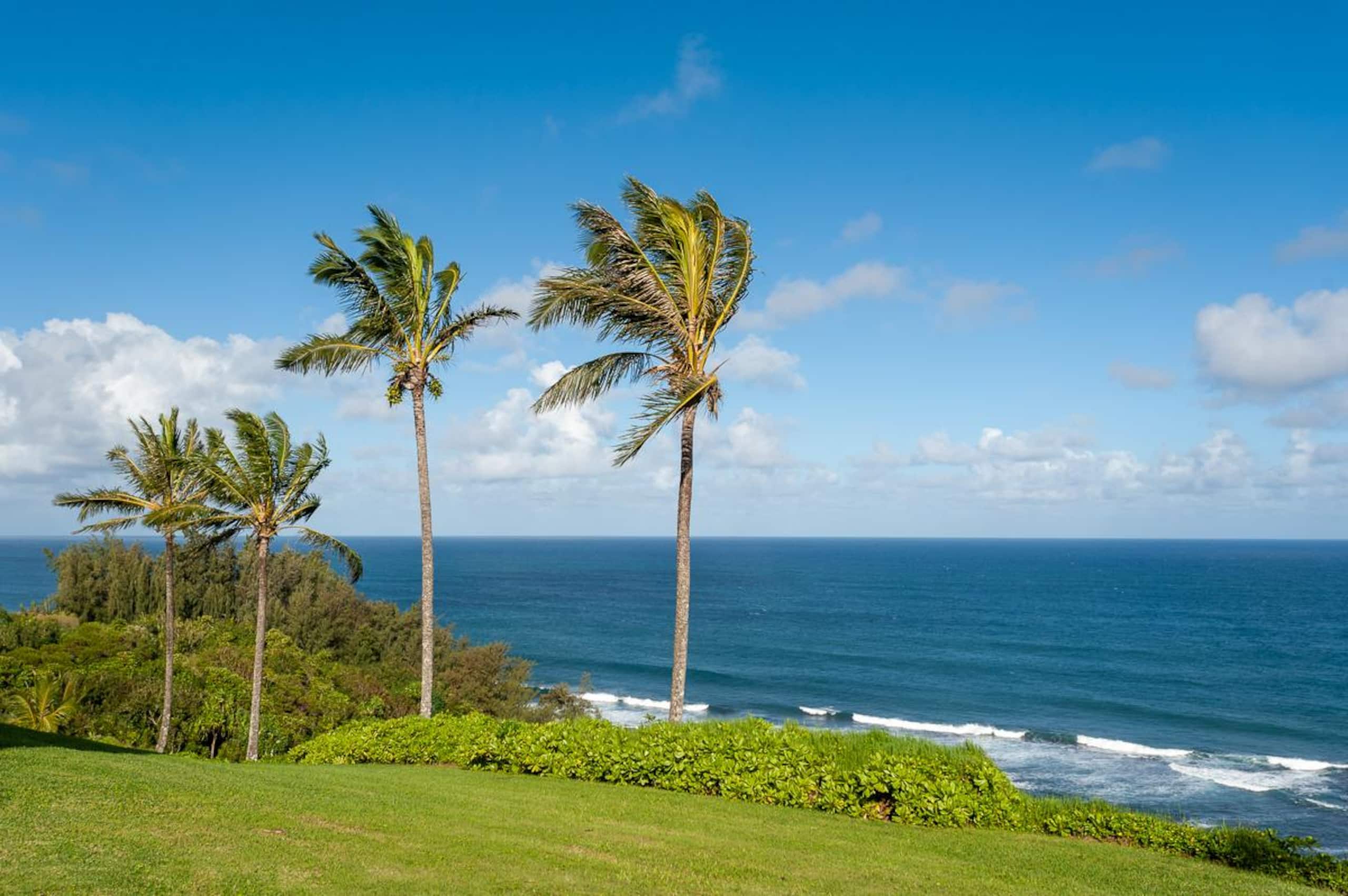 Condo in Princeville · ★4.72 · 1 bedroom · 2 beds · 1 private bath - Image 23