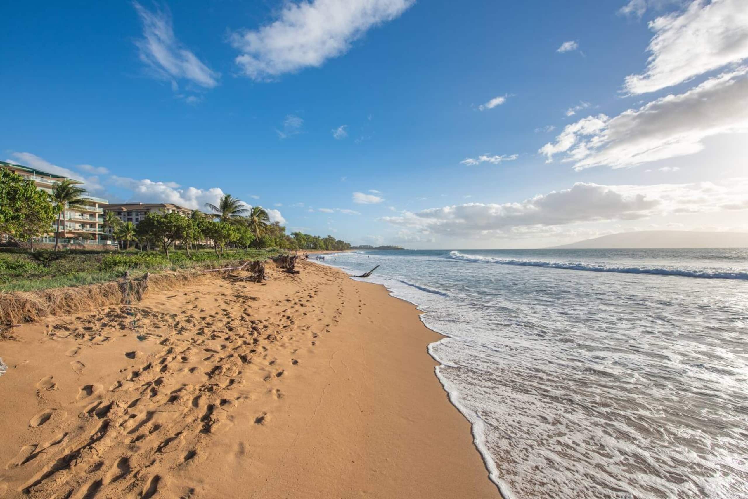 Condo in Lahaina · ★4.91 · 2 bedrooms · 3 beds · 2 baths - Image 41