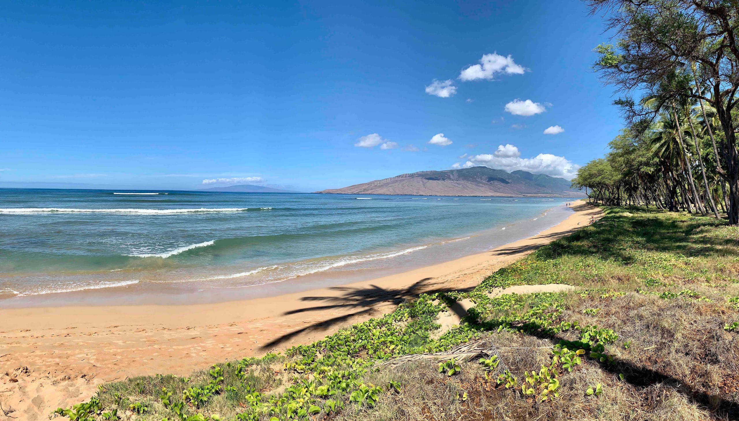 Condo in Kihei · ★4.98 · 1 bedroom · 2 beds · 1 bath - Image 28