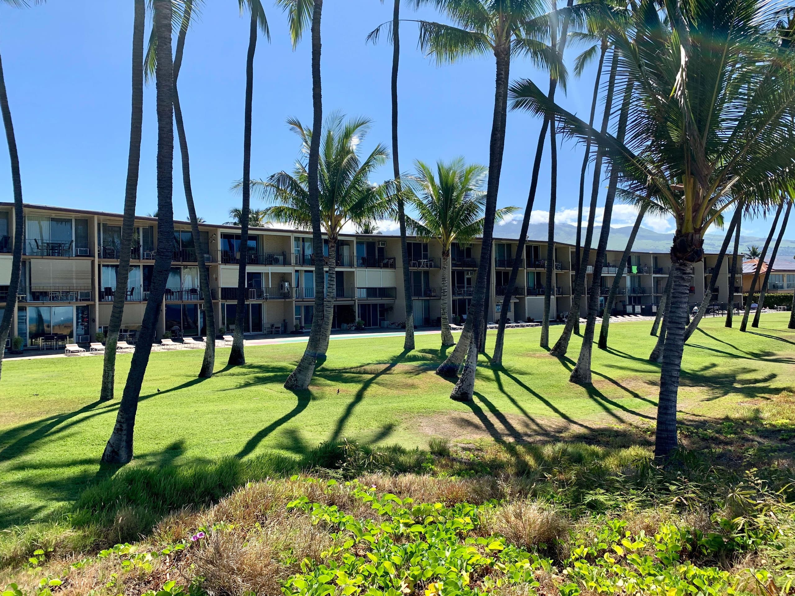 Condo in Kihei · ★4.98 · 1 bedroom · 2 beds · 1 bath - Image 32