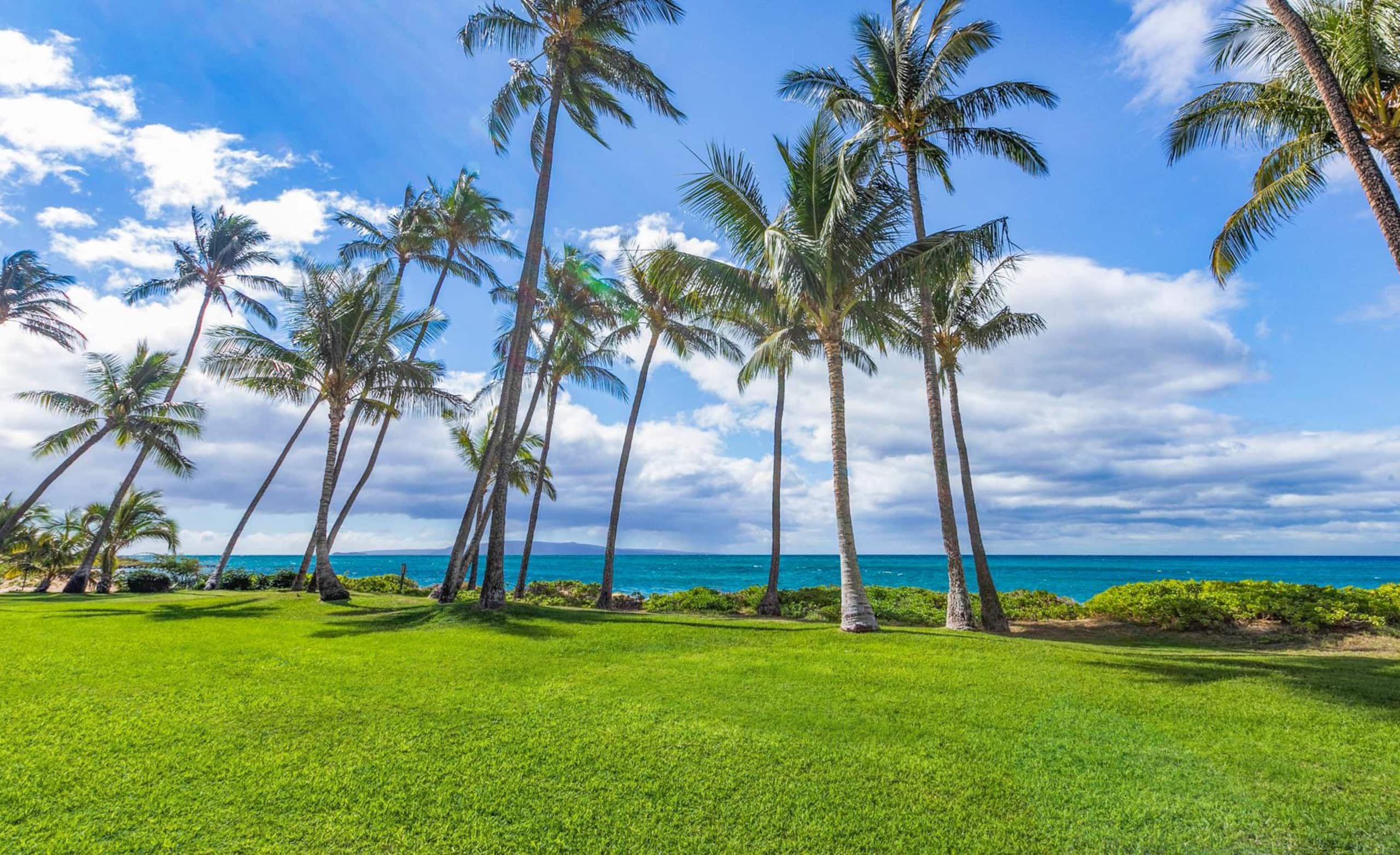 Condo in Kihei · ★4.98 · 1 bedroom · 2 beds · 1 bath - Image 26