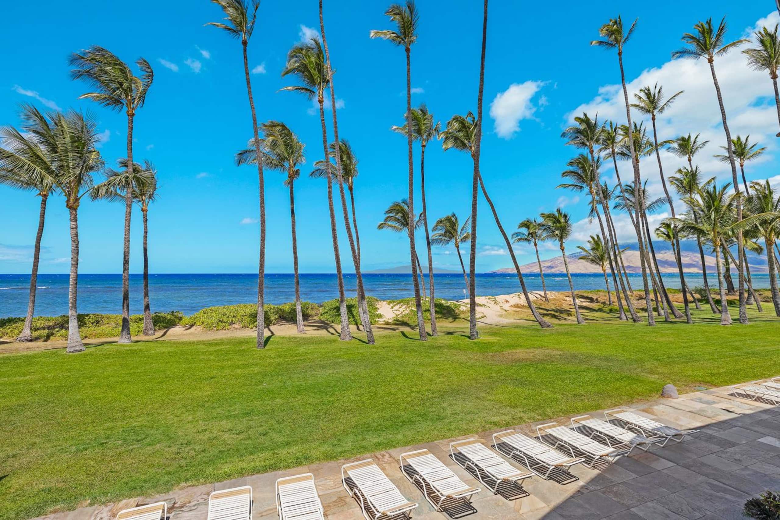 Condo in Kihei · ★4.98 · 1 bedroom · 2 beds · 1 bath - Image 21