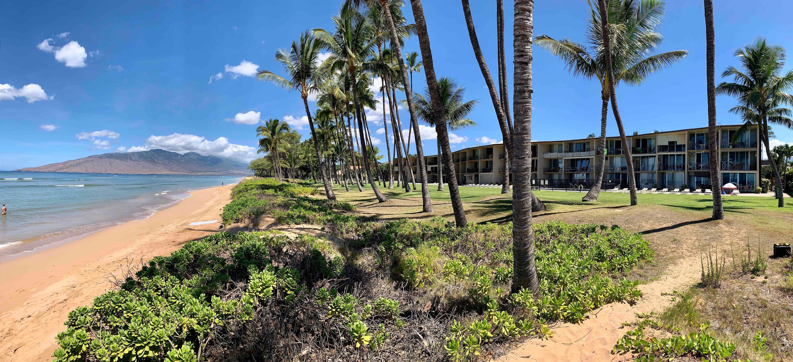 Condo in Kihei · ★4.98 · 1 bedroom · 2 beds · 1 bath - Image 33