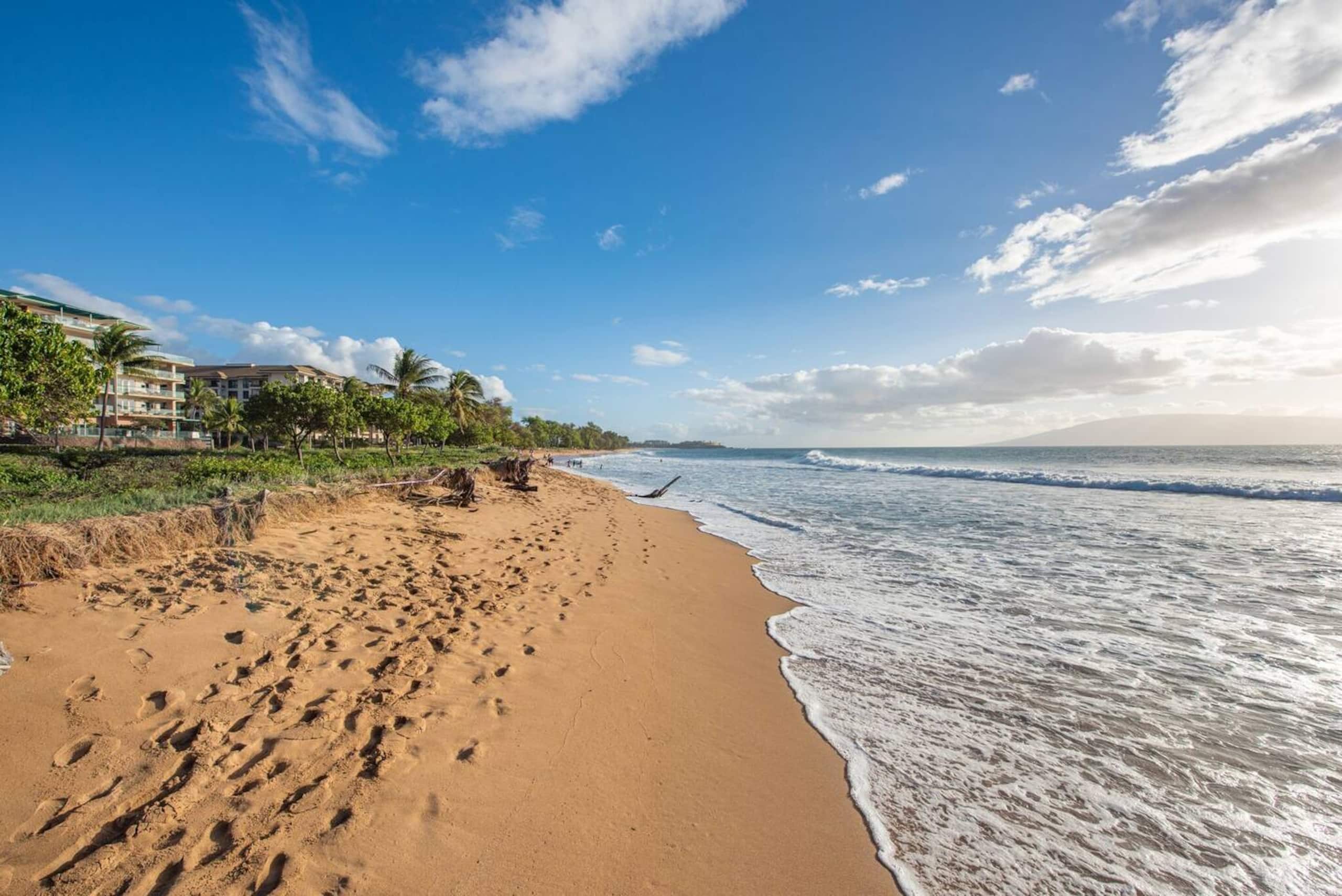 Condo in Lahaina · ★5.0 · 1 bedroom · 2 beds · 1 bath - Image 30