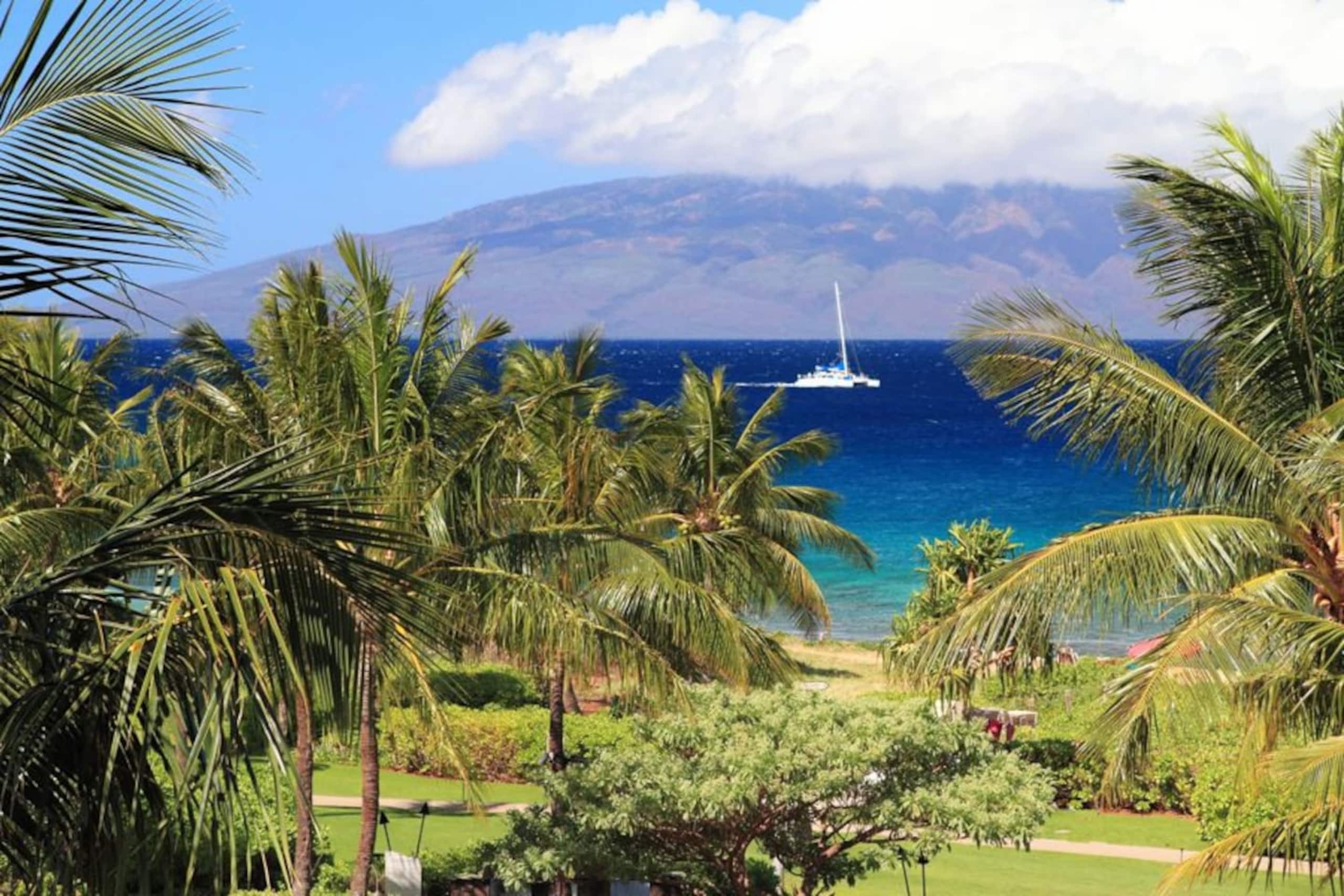 Condo in Lahaina · ★4.67 · 3 bedrooms · 4 beds · 3 baths - Image 1