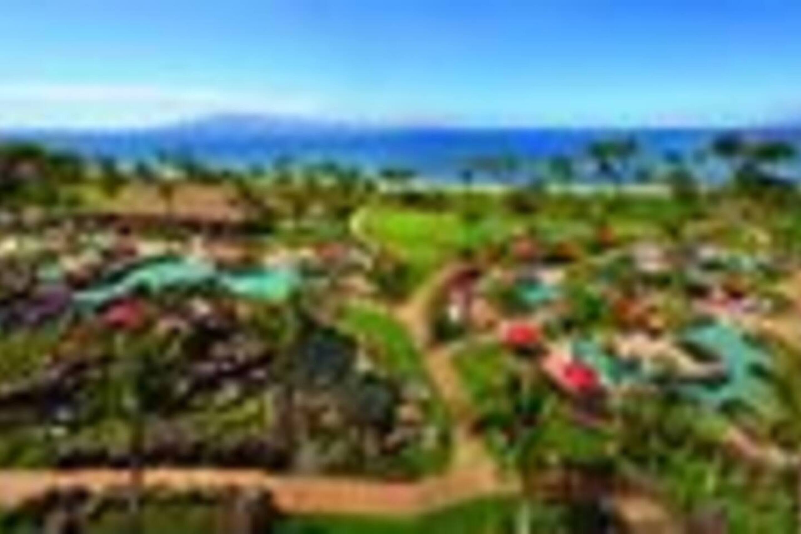 Condo in Lahaina · ★4.79 · 1 bedroom · 2 beds · 1 bath - Image 51