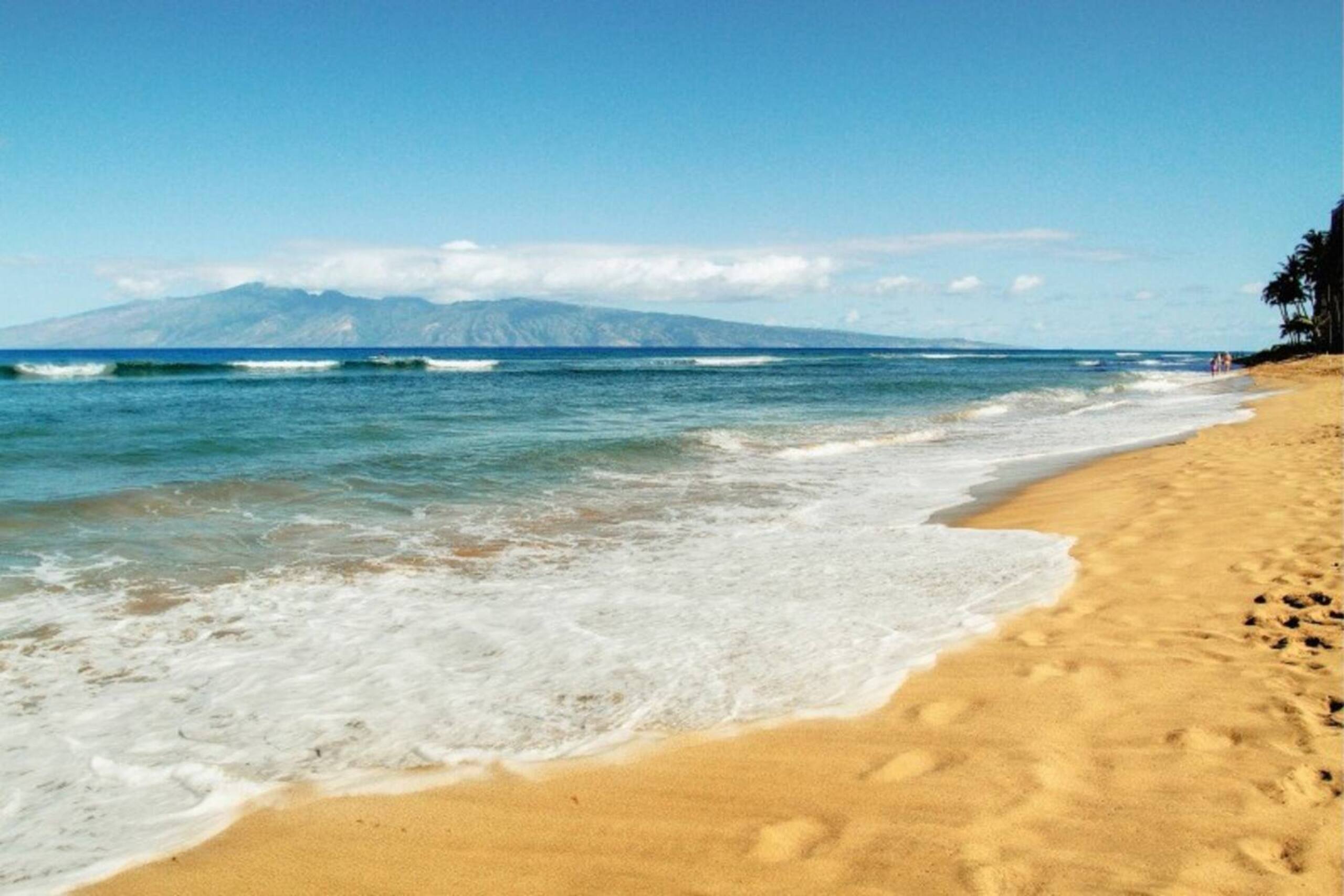 Condo in Lahaina · ★4.79 · 1 bedroom · 2 beds · 1 bath - Image 61