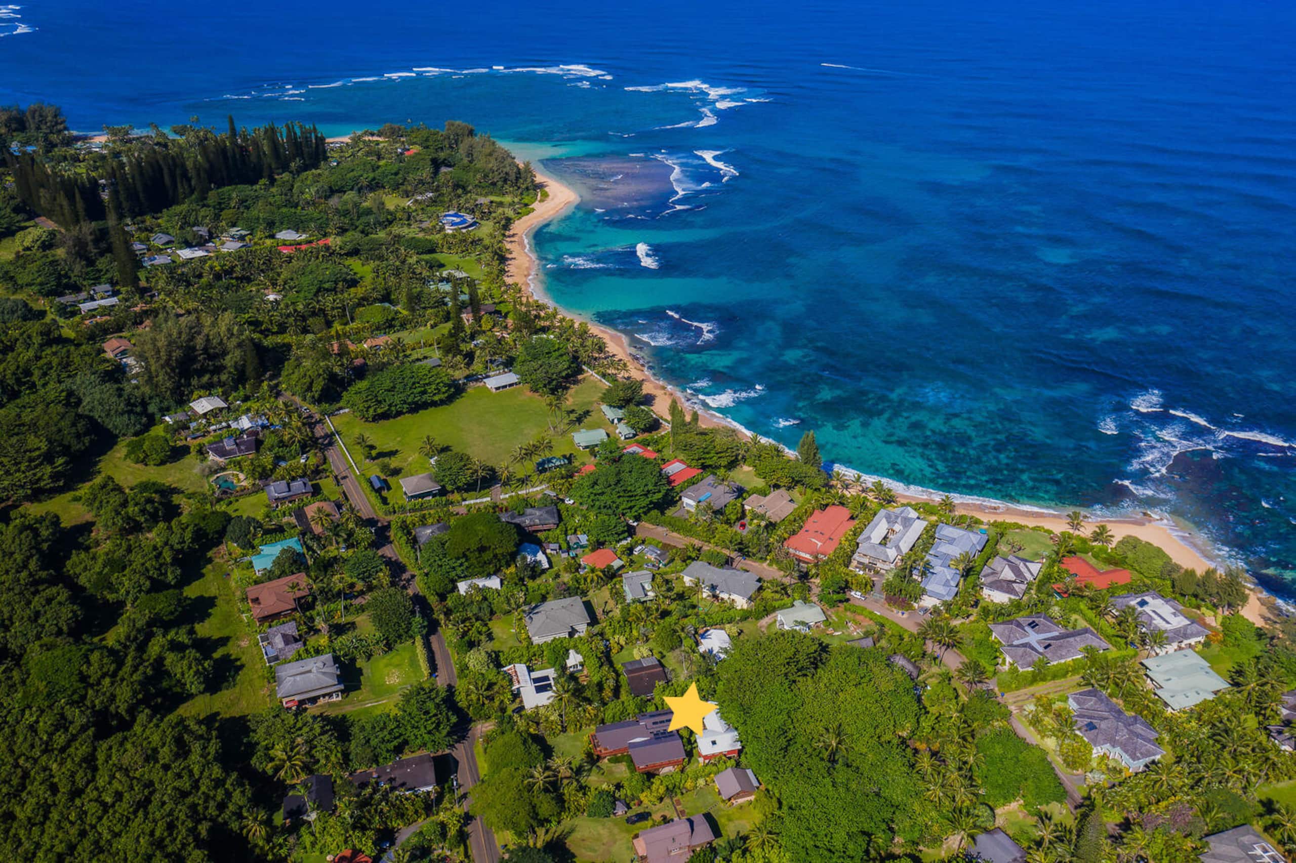 Hale Koolau, A Tropical Paradise, A/C TVNC #1017 - Photo 42