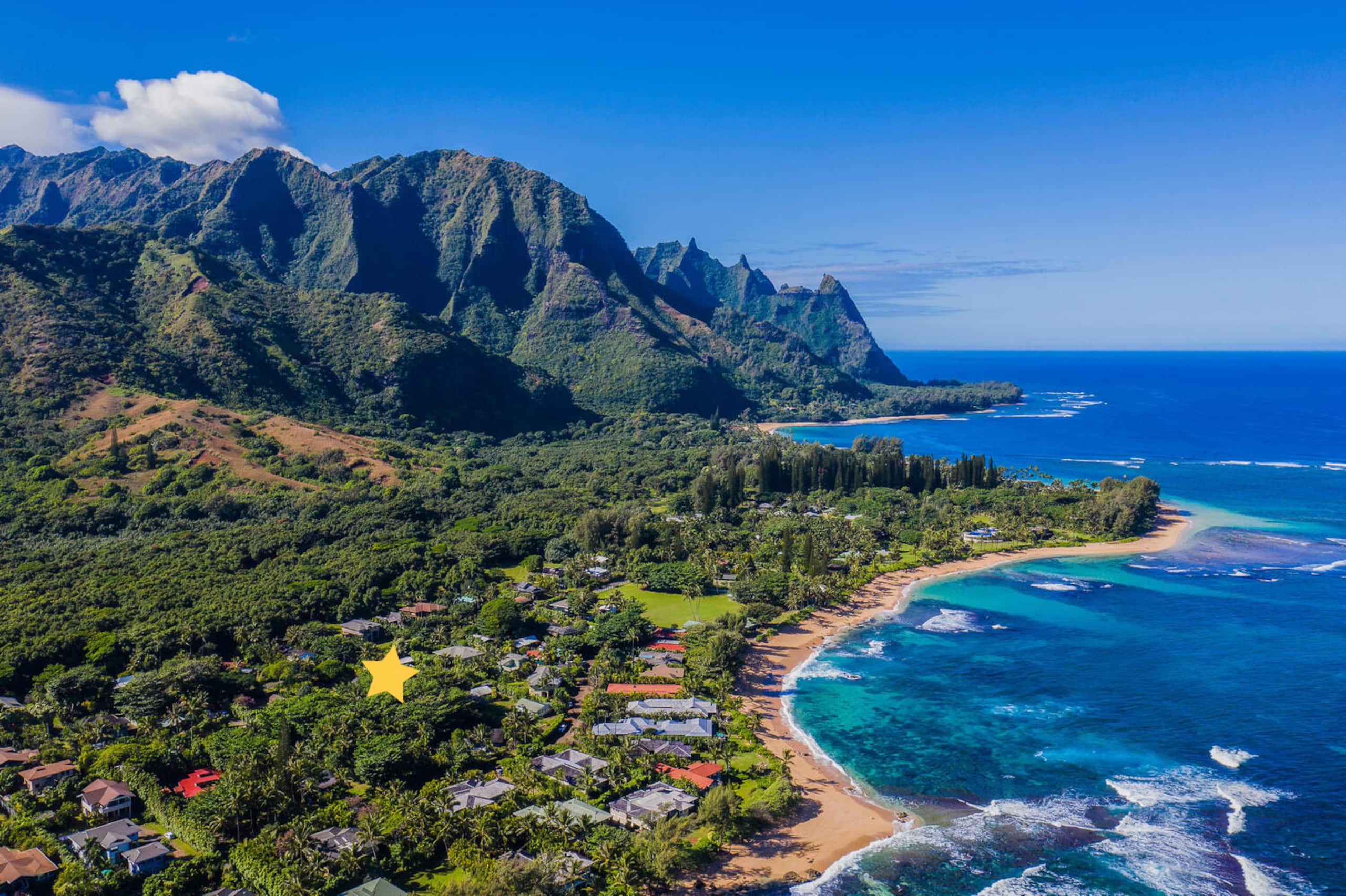 Hale Koolau, A Tropical Paradise, A/C TVNC #1017 - Photo 41