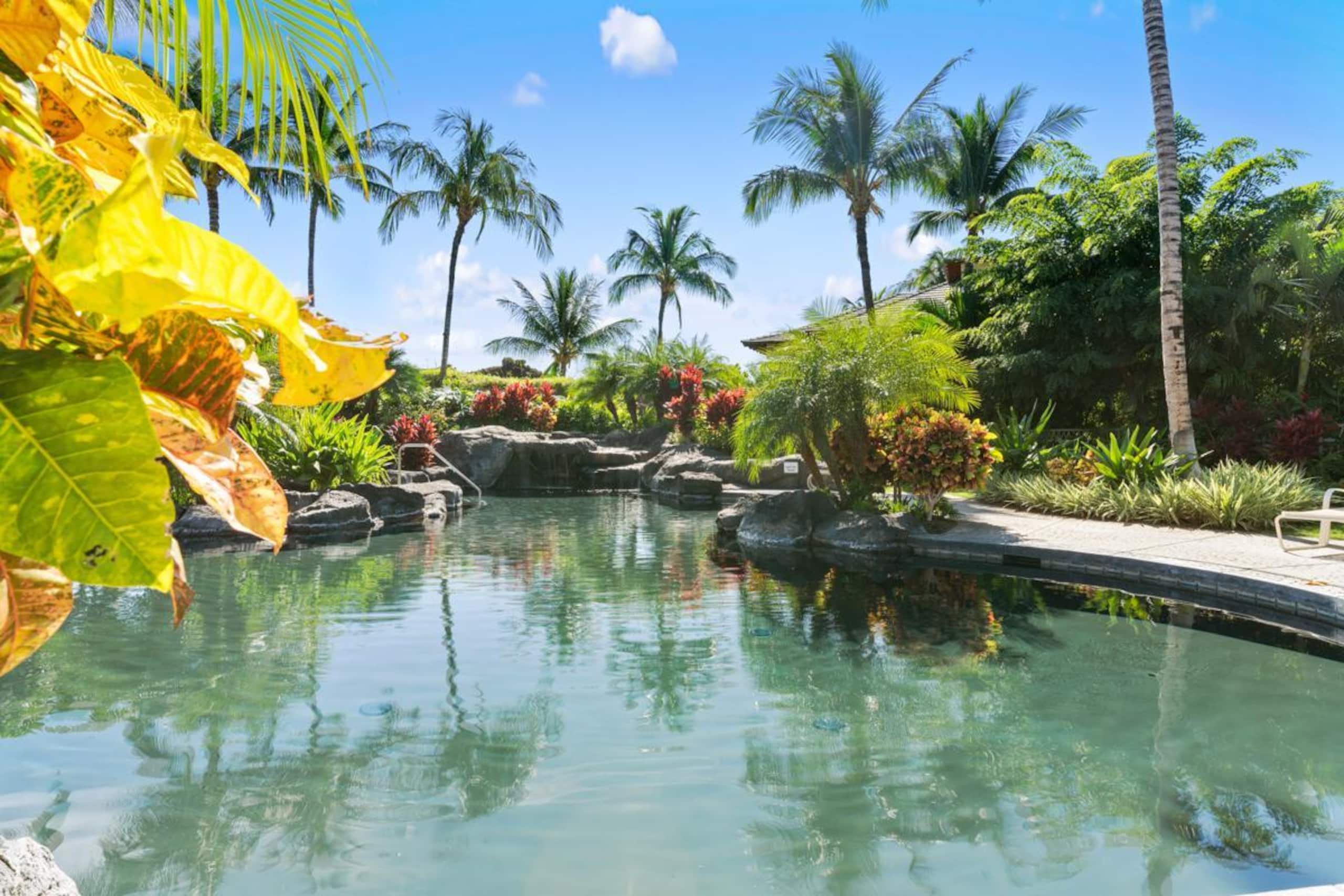 Townhouse in Waimea · ★4.5 · 3 bedrooms · 5 beds · 3 shared baths - Image 41