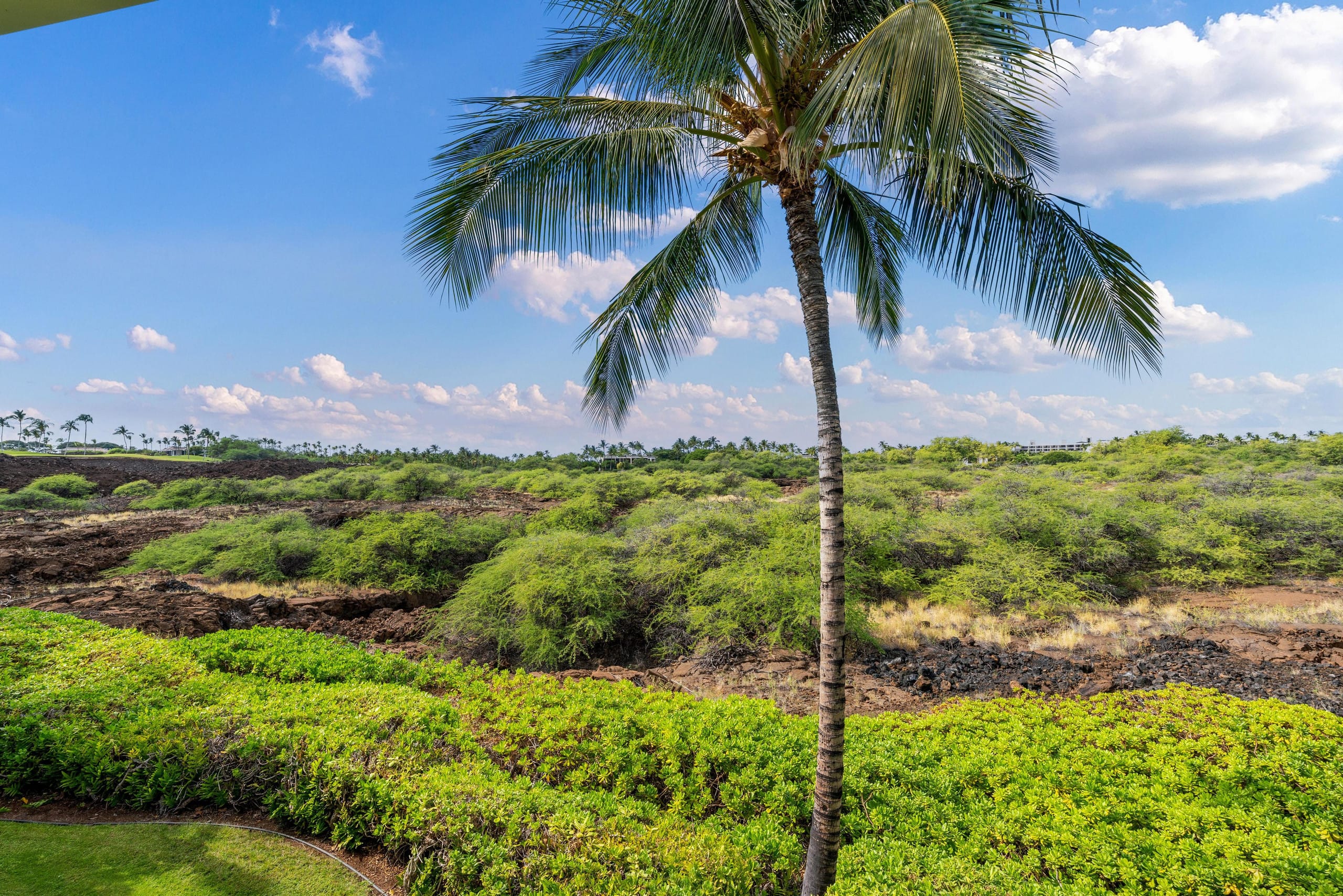 Townhouse in Waimea · ★4.5 · 3 bedrooms · 5 beds · 3 shared baths - Image 48