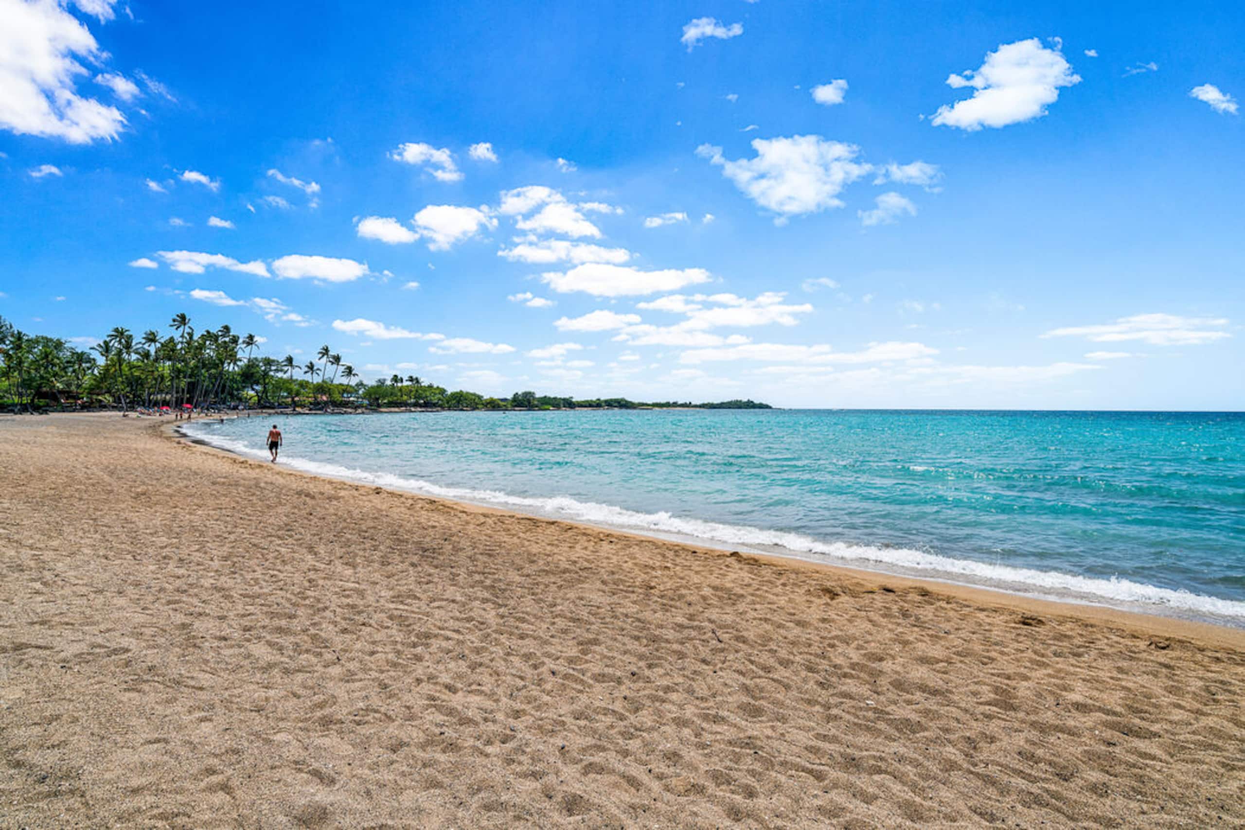 Waikoloa Beach Condo w/ Loft, AC & Golf Views - Photo 47