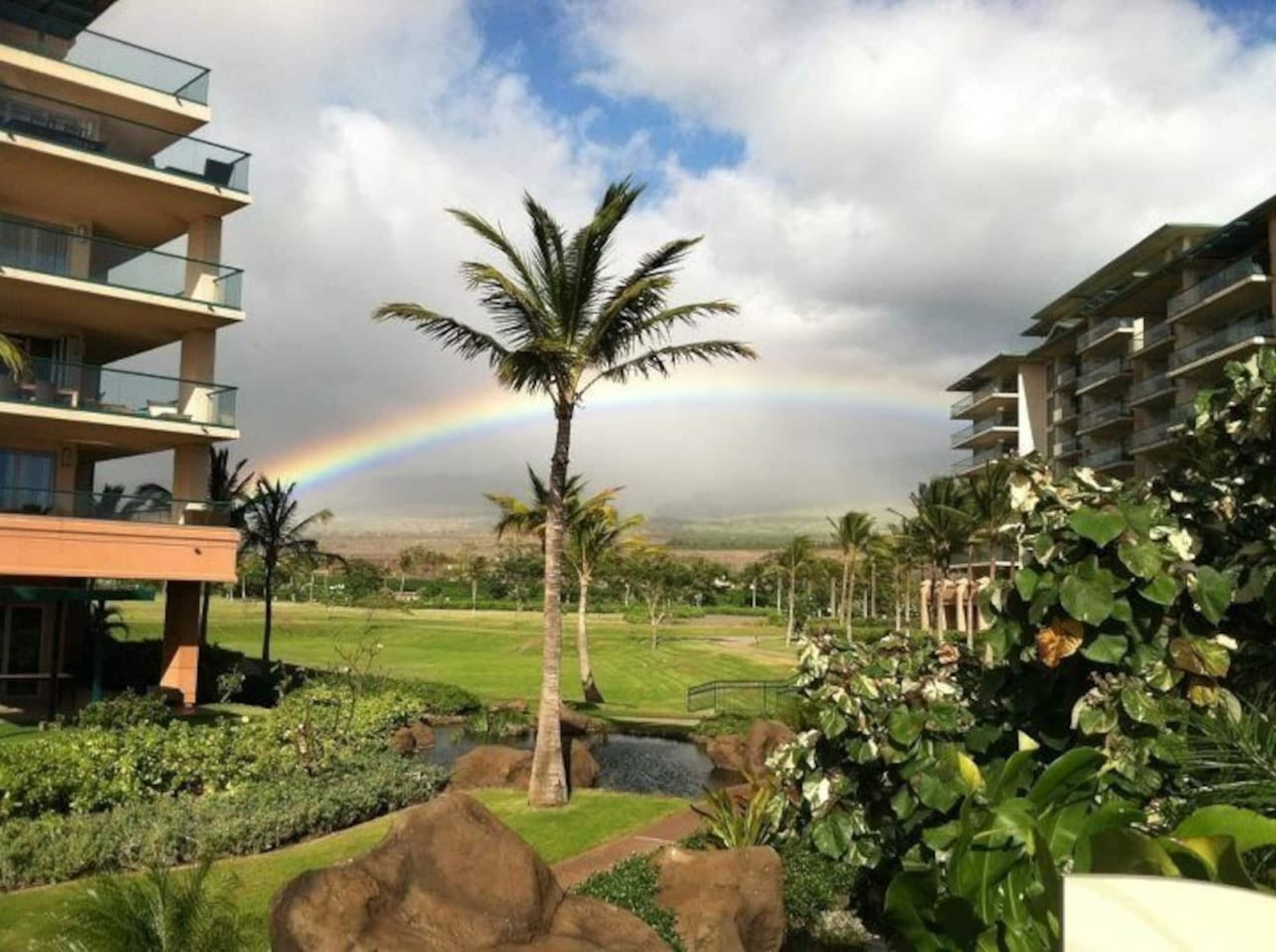 Condo in Lahaina · ★4.5 · 2 bedrooms · 3 beds · 2 private baths - Image 31
