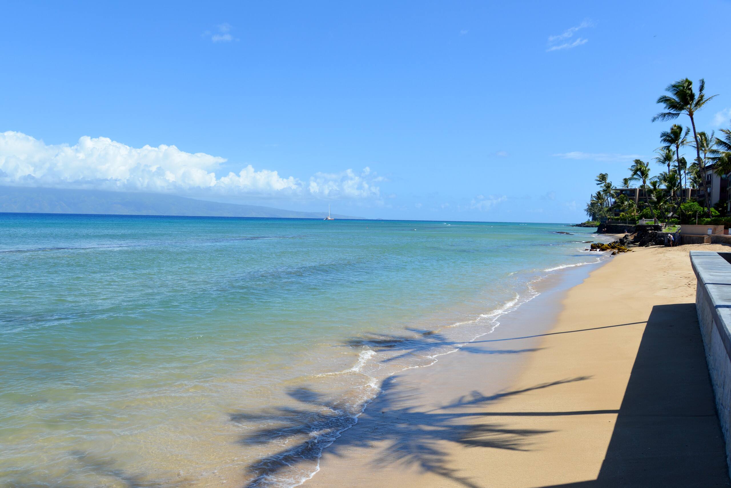 Condo in Lahaina · ★4.11 · 2 bedrooms · 4 beds · 2 baths - Image 43