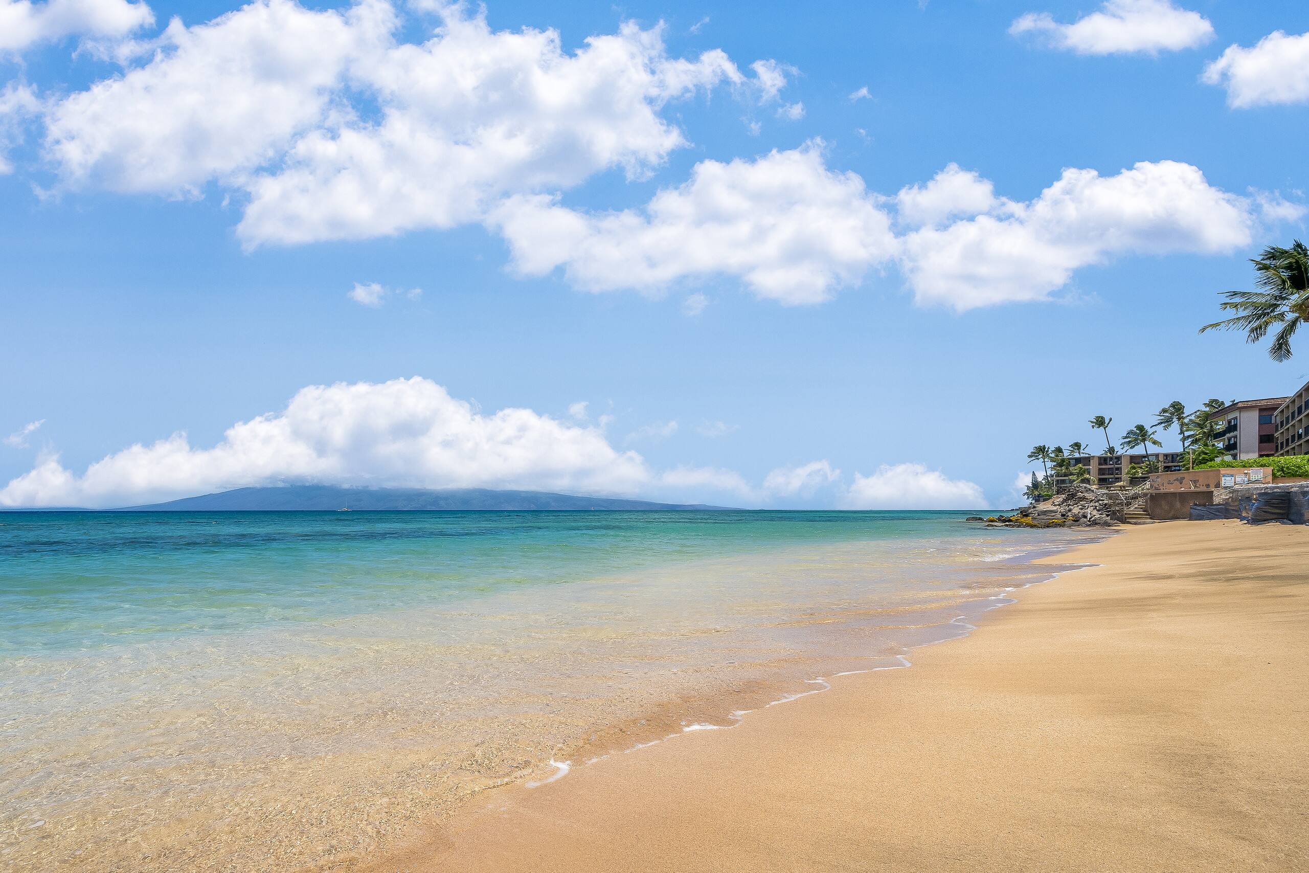 Condo in Lahaina · ★4.11 · 2 bedrooms · 4 beds · 2 baths - Image 44