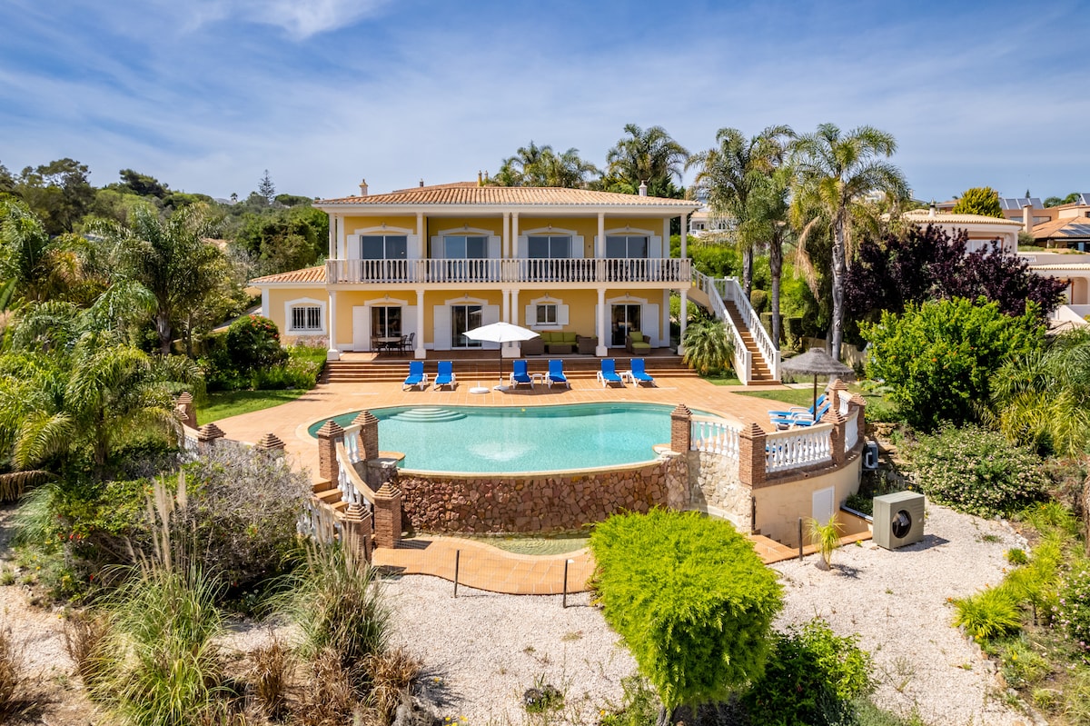 The exterior view of the house highlights a spacious terrace surrounding a kidney-shaped swimming pool. Lounge chairs are positioned under umbrellas, providing relaxation areas. Lush greenery and mature palm trees frame the scene, creating an inviting outdoor space under clear blue skies.