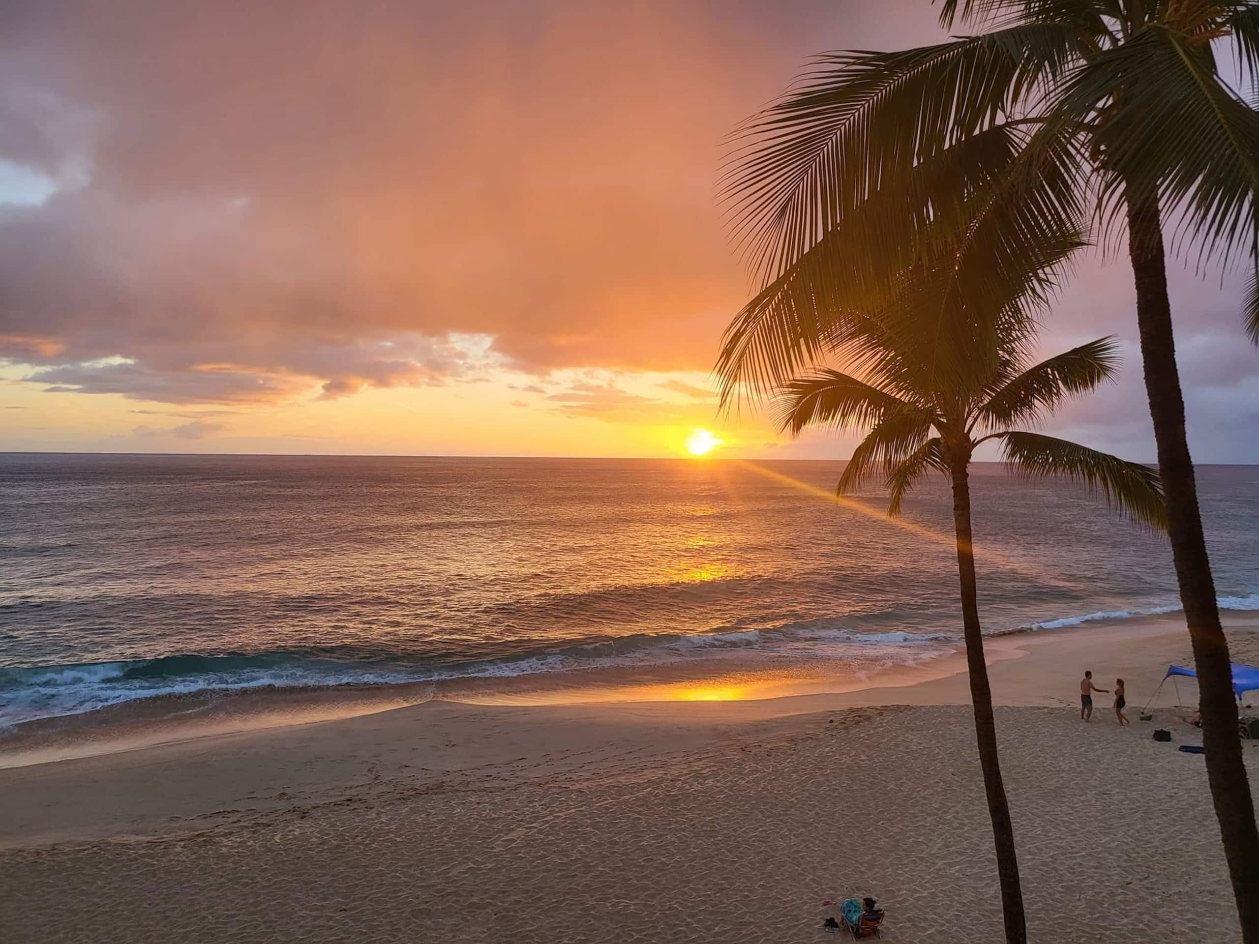 Condo in Waianae · ★4.83 · 1 bedroom · 1 bed · 1 private bath - Main photo