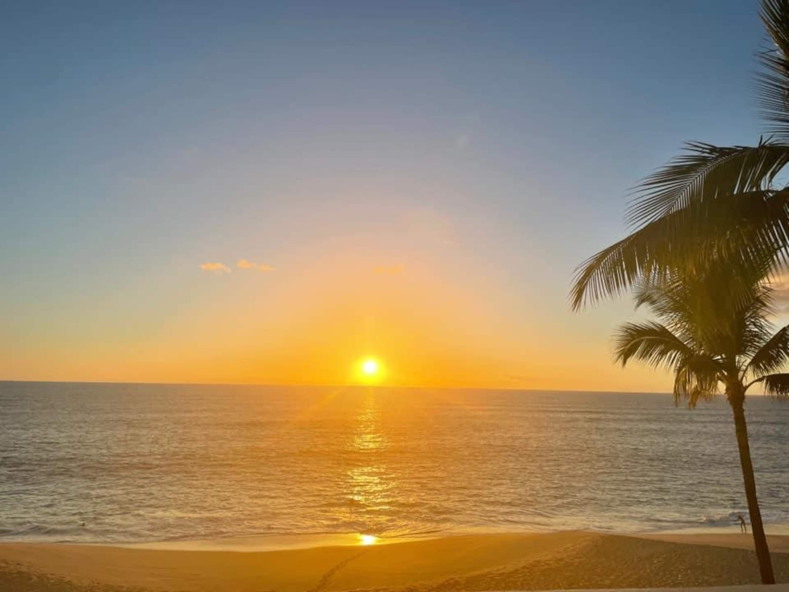 Condo in Waianae · ★4.83 · 1 bedroom · 1 bed · 1 private bath - Photo 11