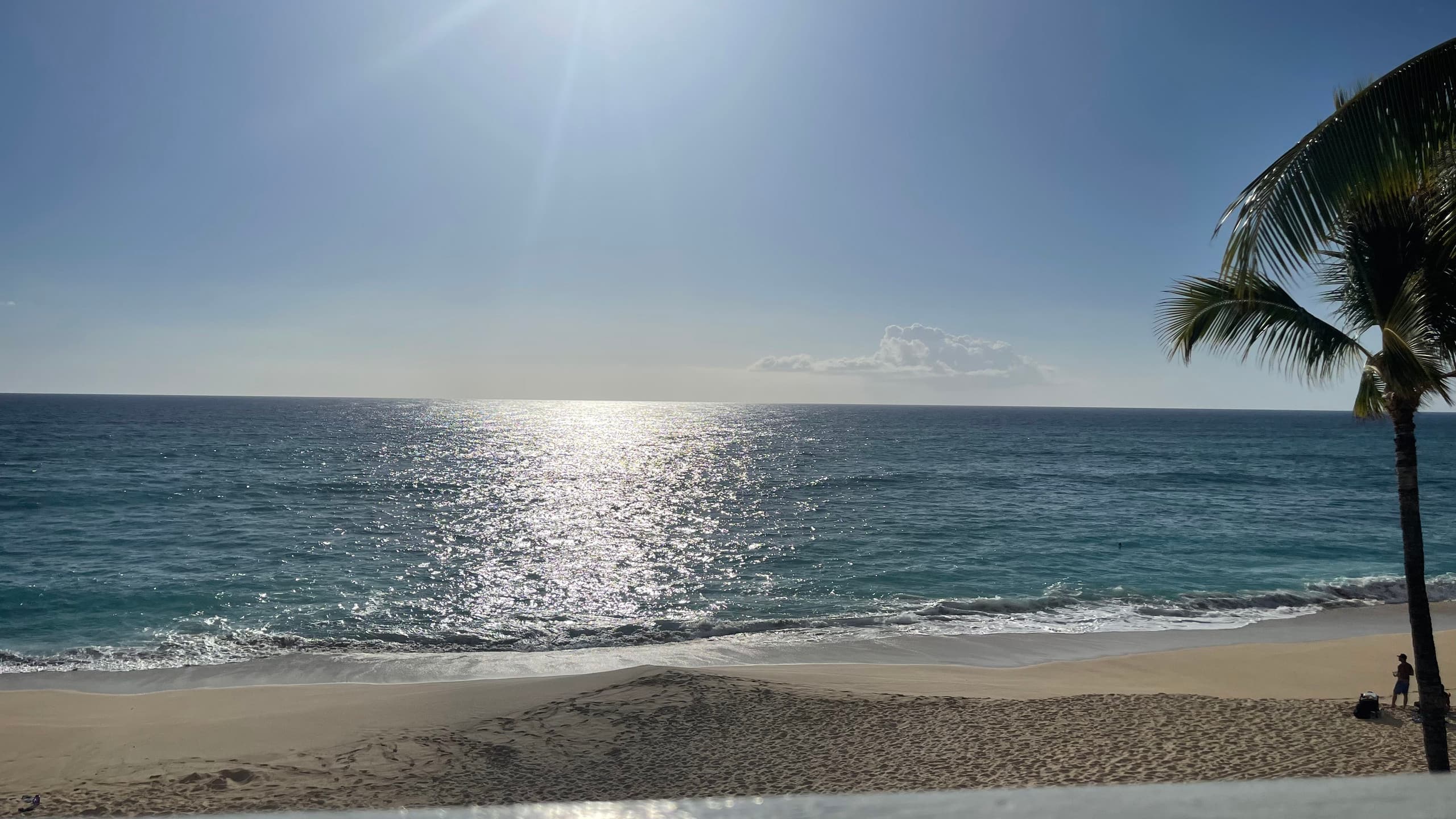 Condo in Waianae · ★4.83 · 1 bedroom · 1 bed · 1 private bath - Photo 10