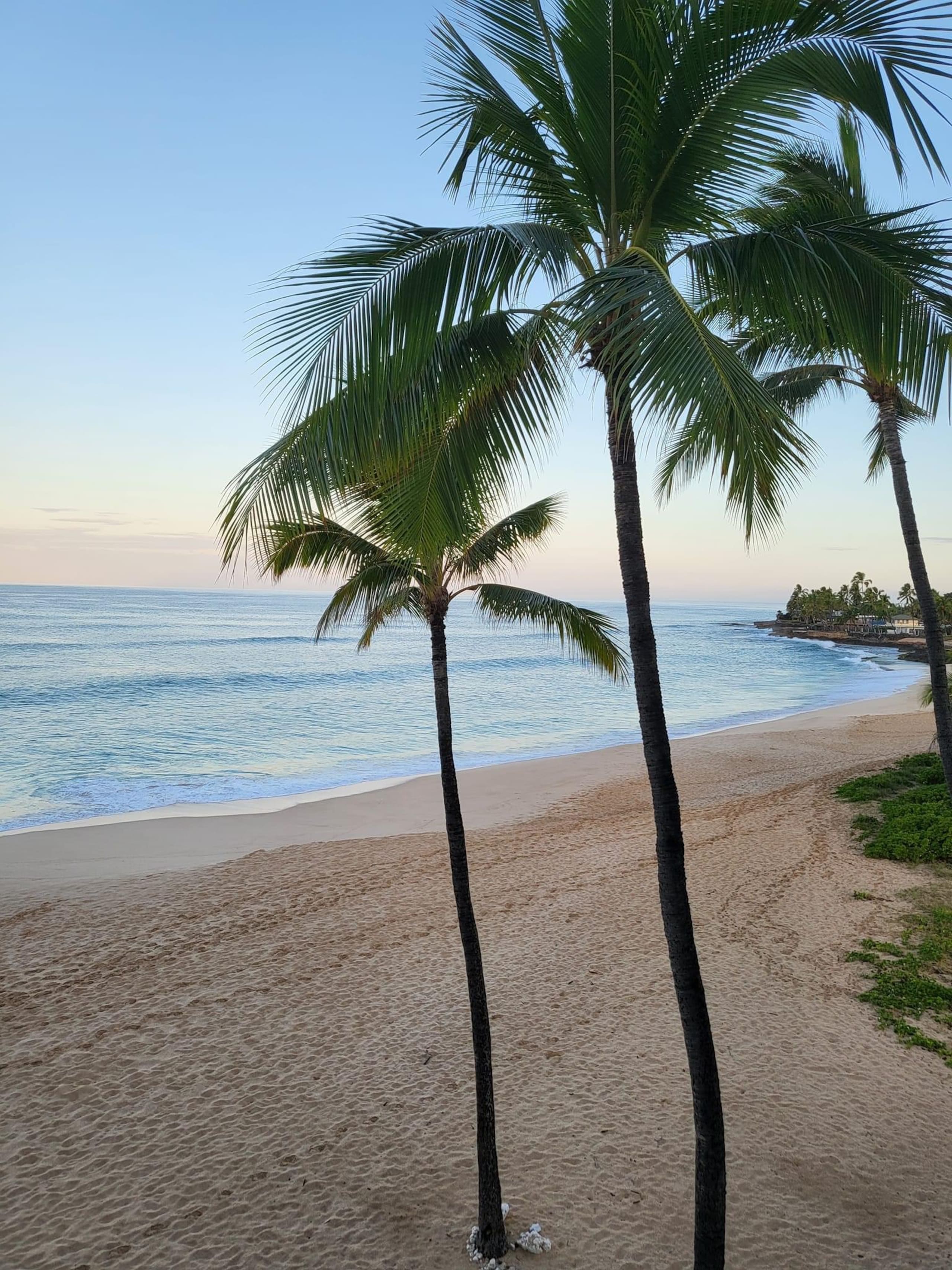 Condo in Waianae · ★4.83 · 1 bedroom · 1 bed · 1 private bath - Photo 13