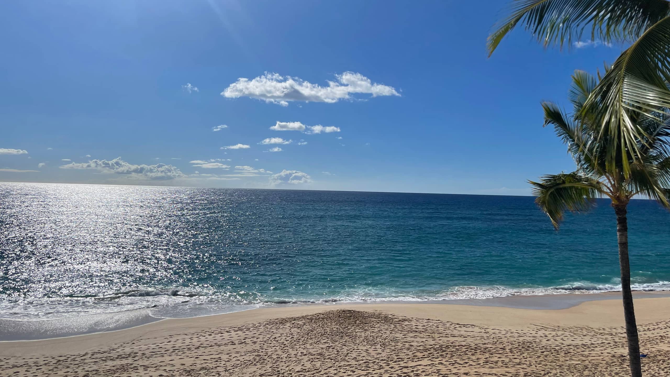 Condo in Waianae · ★4.83 · 1 bedroom · 1 bed · 1 private bath - Photo 9